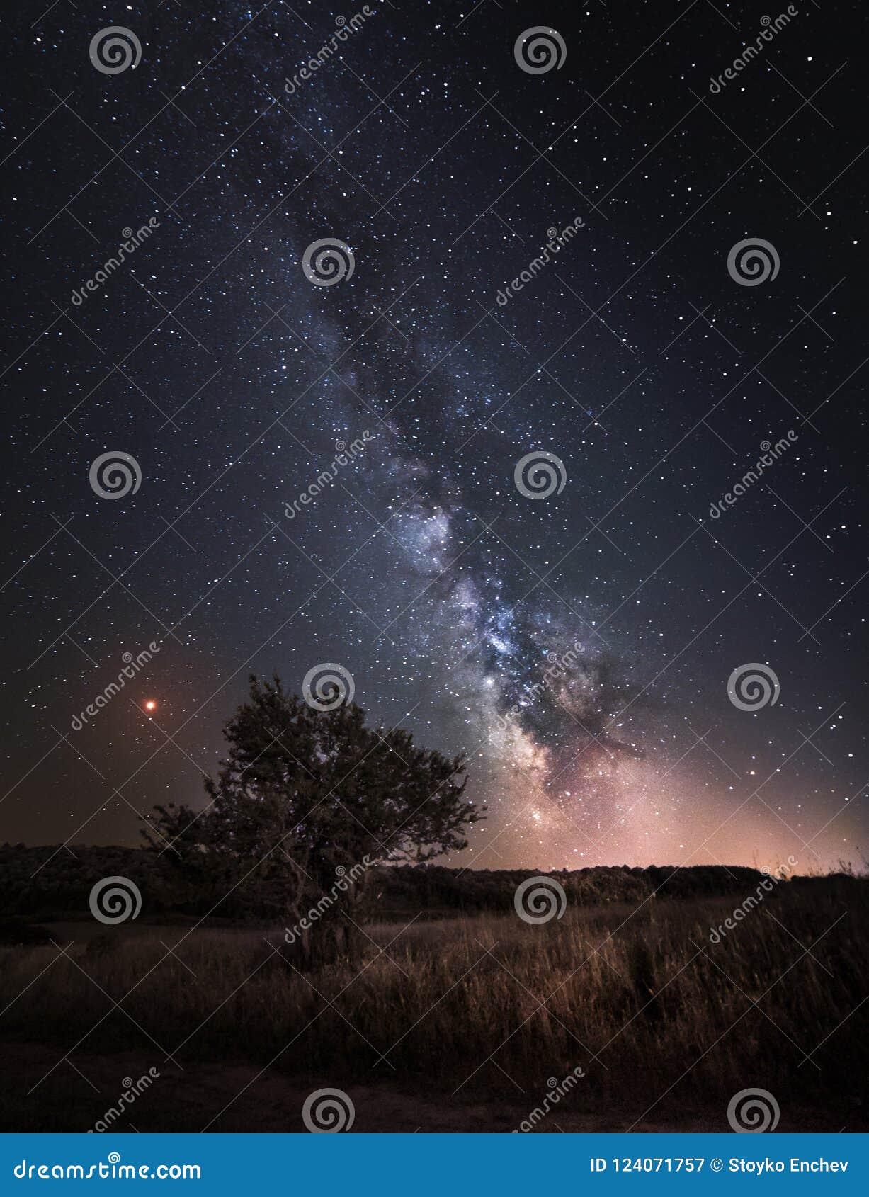 silhouette of tree with natural landscape and milky way galaxy.