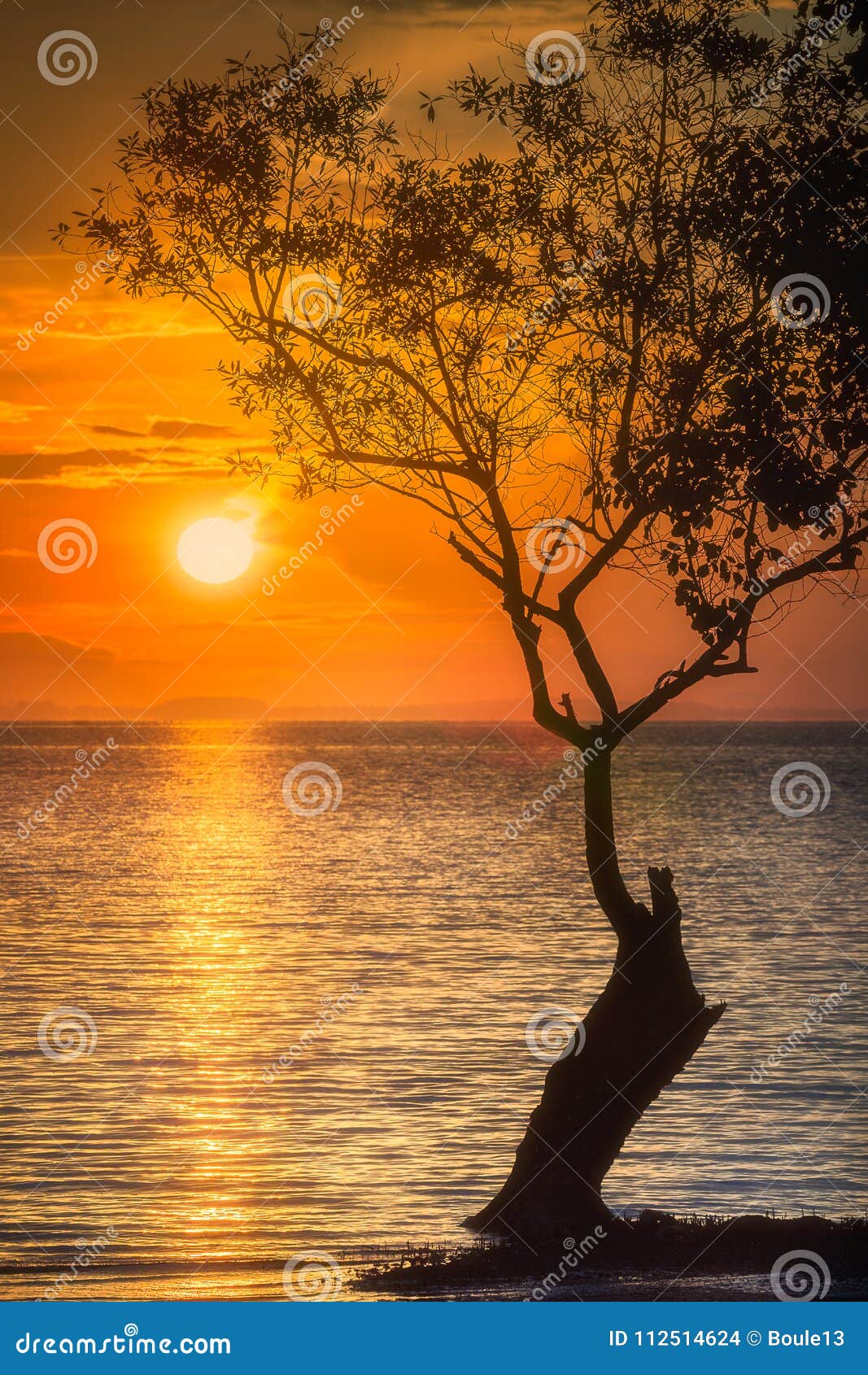 Silhouette of Tree Over the Water Thailand Beach Stock Photo - Image of ...