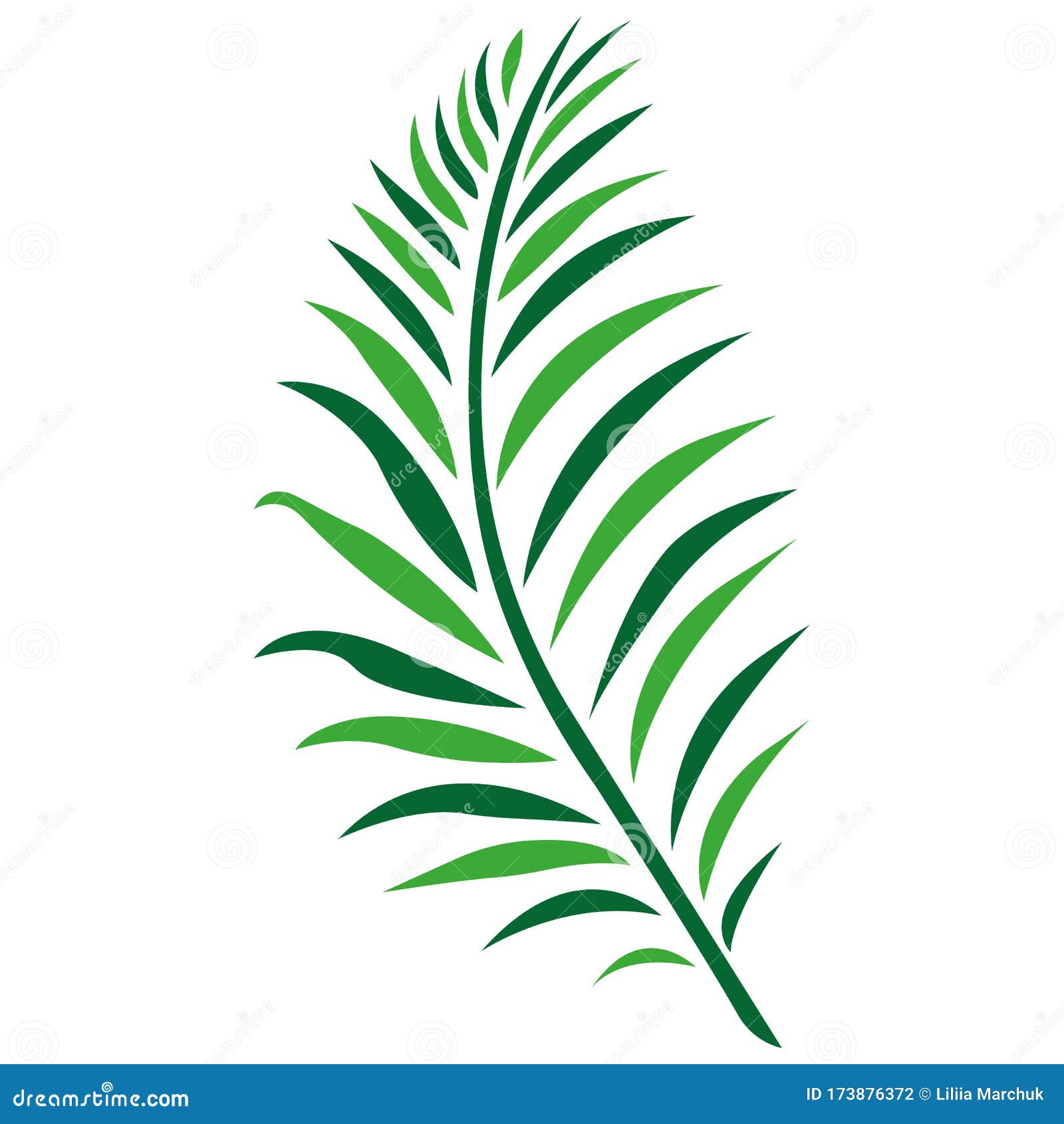 Silhouette of a Tropical Leaf of Fern, Palm Leaves of Green Color in the  Style of Minimalism. Design Suitable for Color Tattoo Stock Illustration -  Illustration of decorative, fresh: 173876372