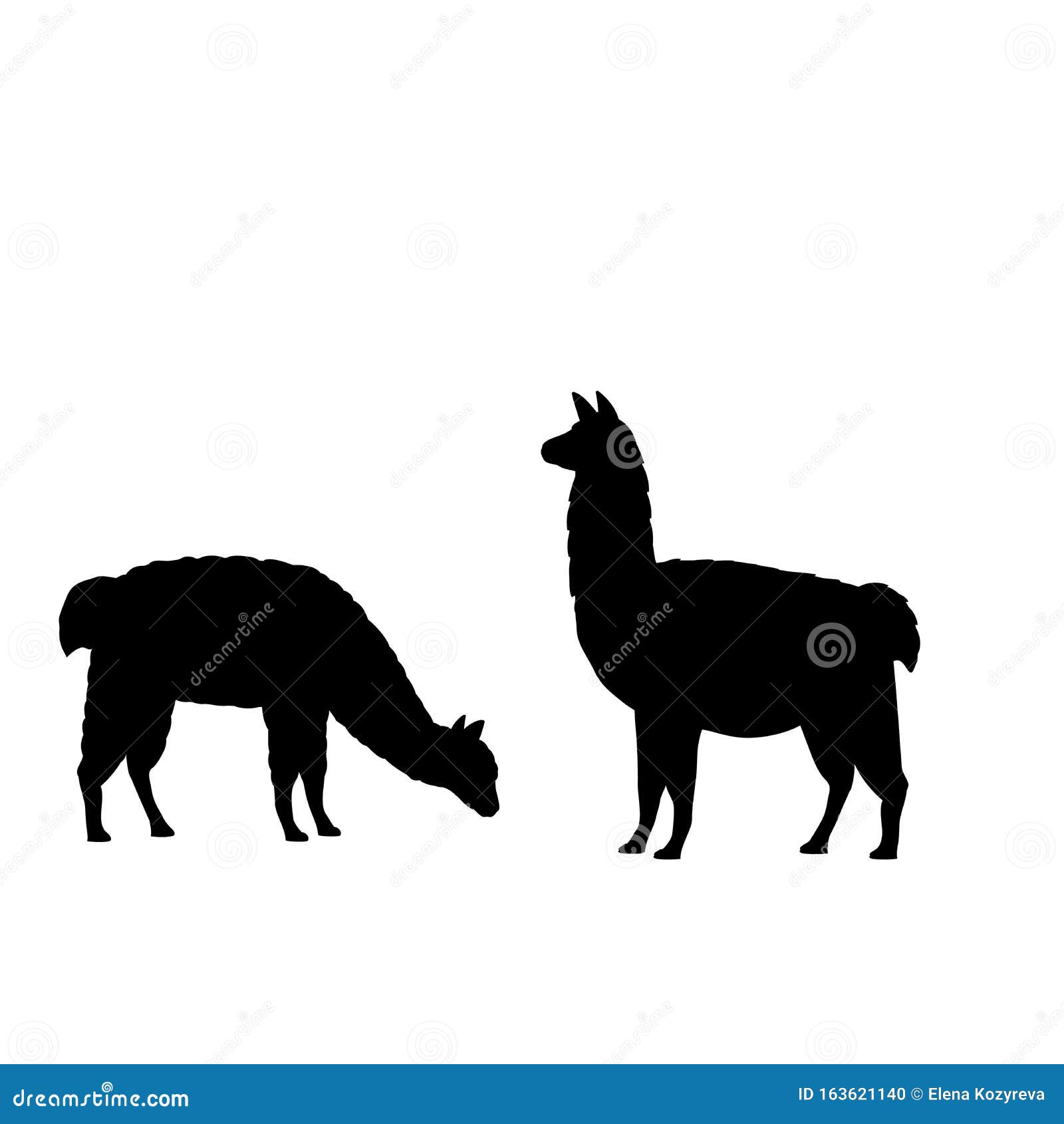 Silhouette of Two Alpaca Llamas. Alpaca Llama Family Stock Vector ...