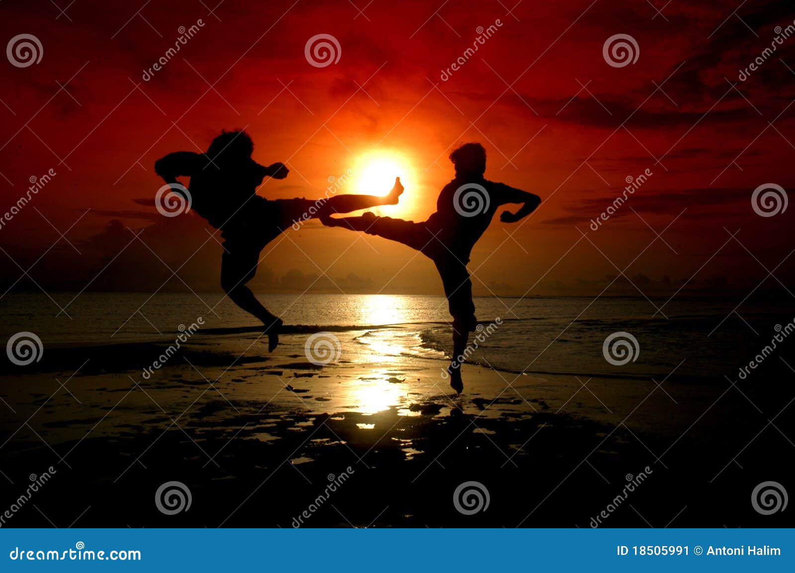 People Playground How To Make People Fight Photos, Download The BEST Free  People Playground How To Make People Fight Stock Photos & HD Images