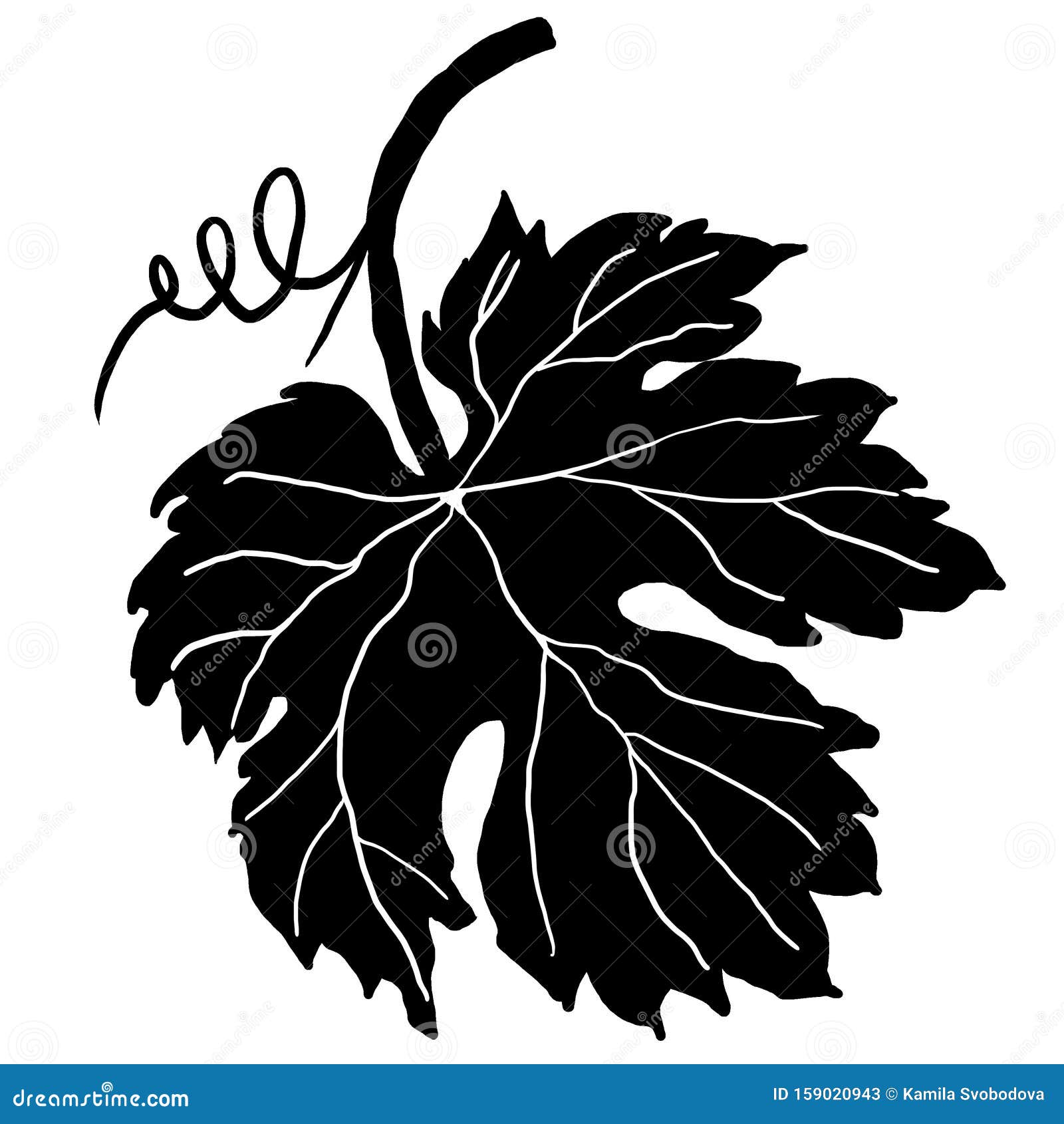 Download Silhouette of a vine leaf stock illustration. Illustration of natural - 159020943
