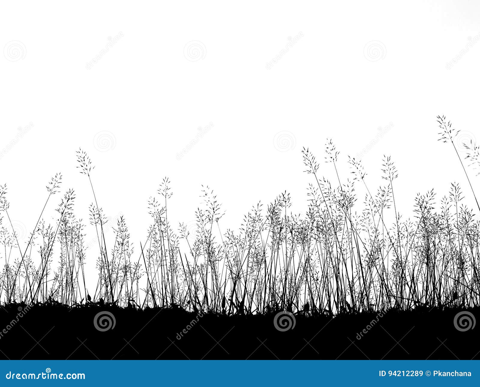 Download Silhouette Wild Grass Flowers Meadow Stock Image Image Of Summer Plant 94212289