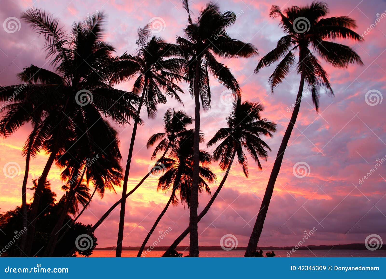 silhouetted palm trees on a beach at sunset, ofu island, tonga