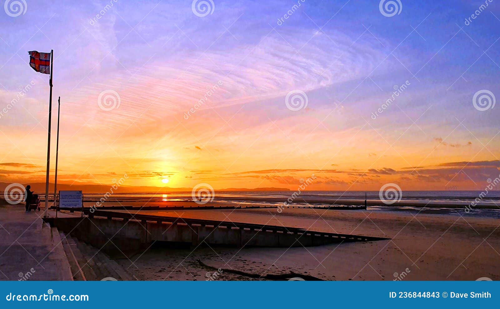 can you take dogs on rhyl beach