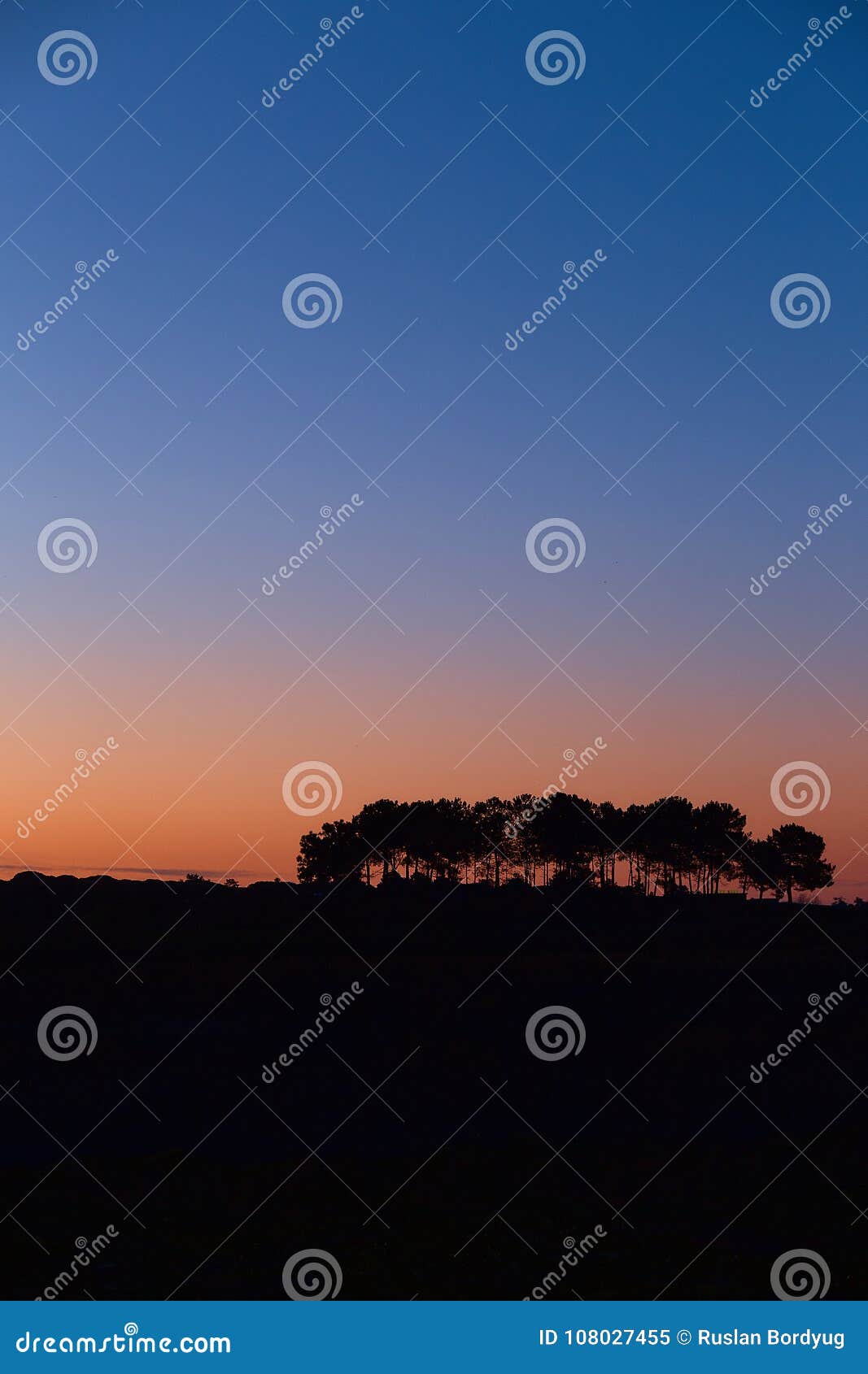 Silhouetten van bomen op een heuvel op de achtergrond van de het toenemen zon Mooie dageraad met silhouetten van bomen tegen een. Mooie dageraad met silhouetten van bomen tegen een achtergrond van duidelijke hemel Silhouetten van bomen op een heuvel op de achtergrond van de het toenemen zon Blauwe en oranje hemel zonder wolken