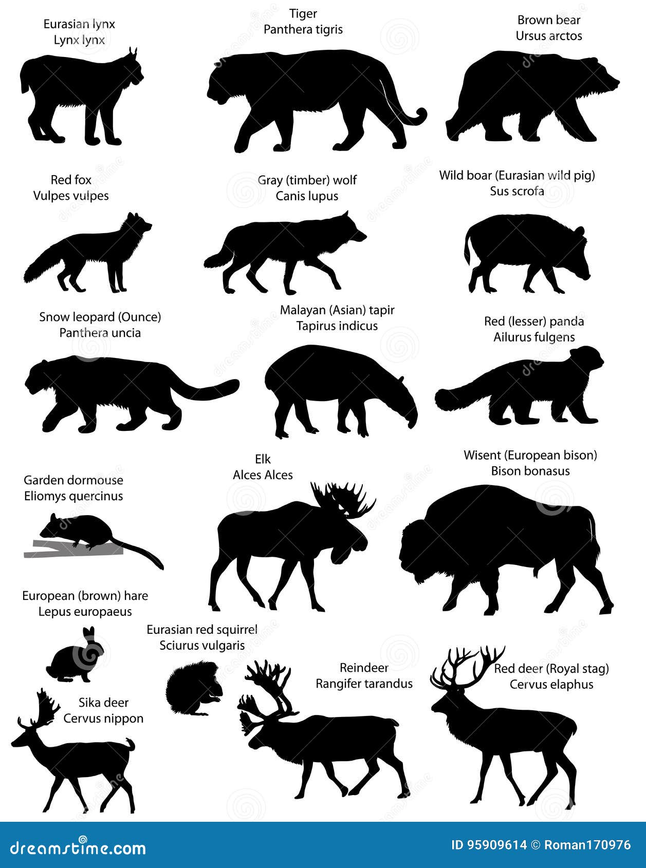 silhouettes of animals of eurasia.