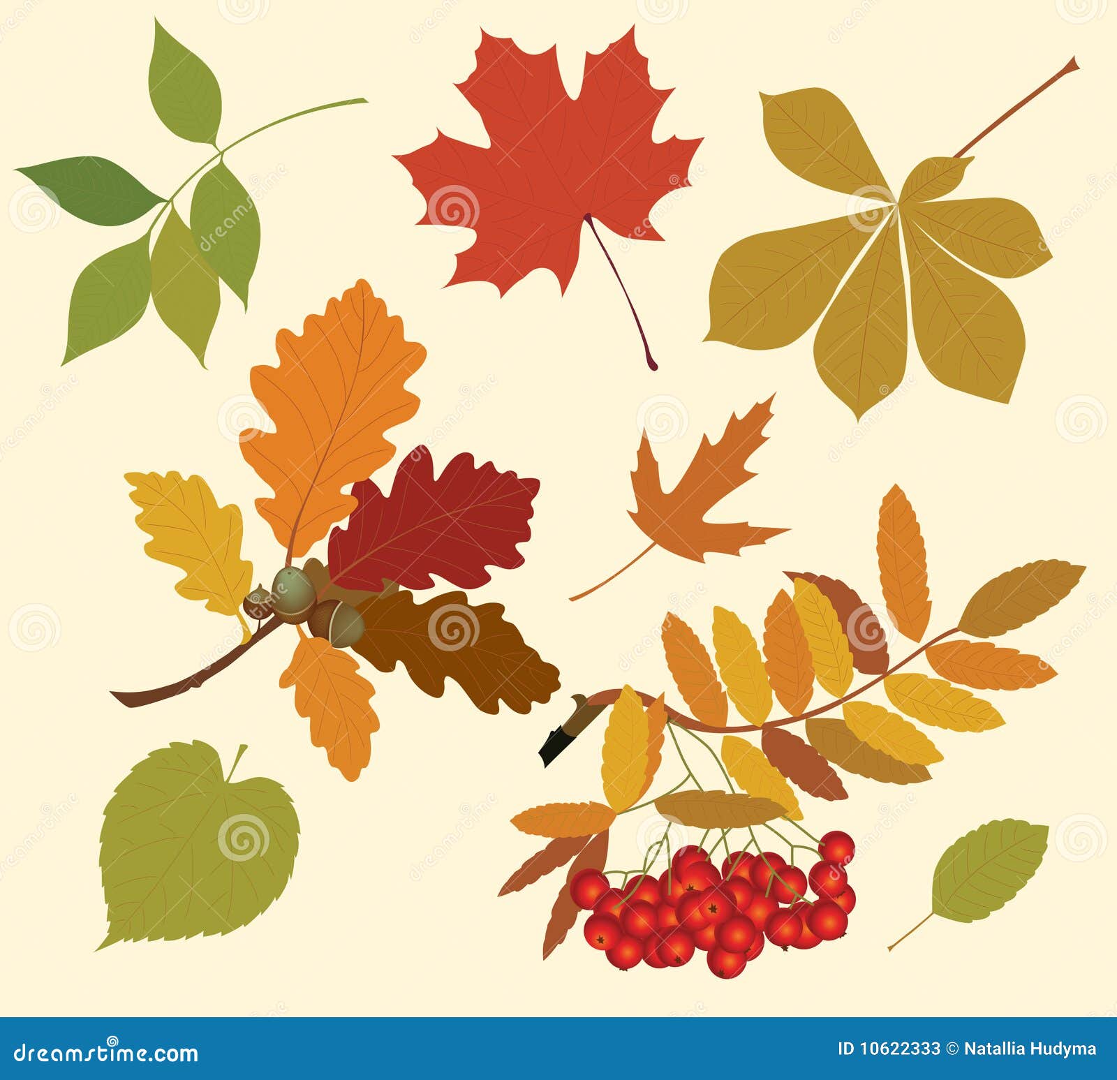 Autumn Leaves Stock Illustrations – 387,634 Autumn Leaves Stock  Illustrations, Vectors & Clipart - Dreamstime