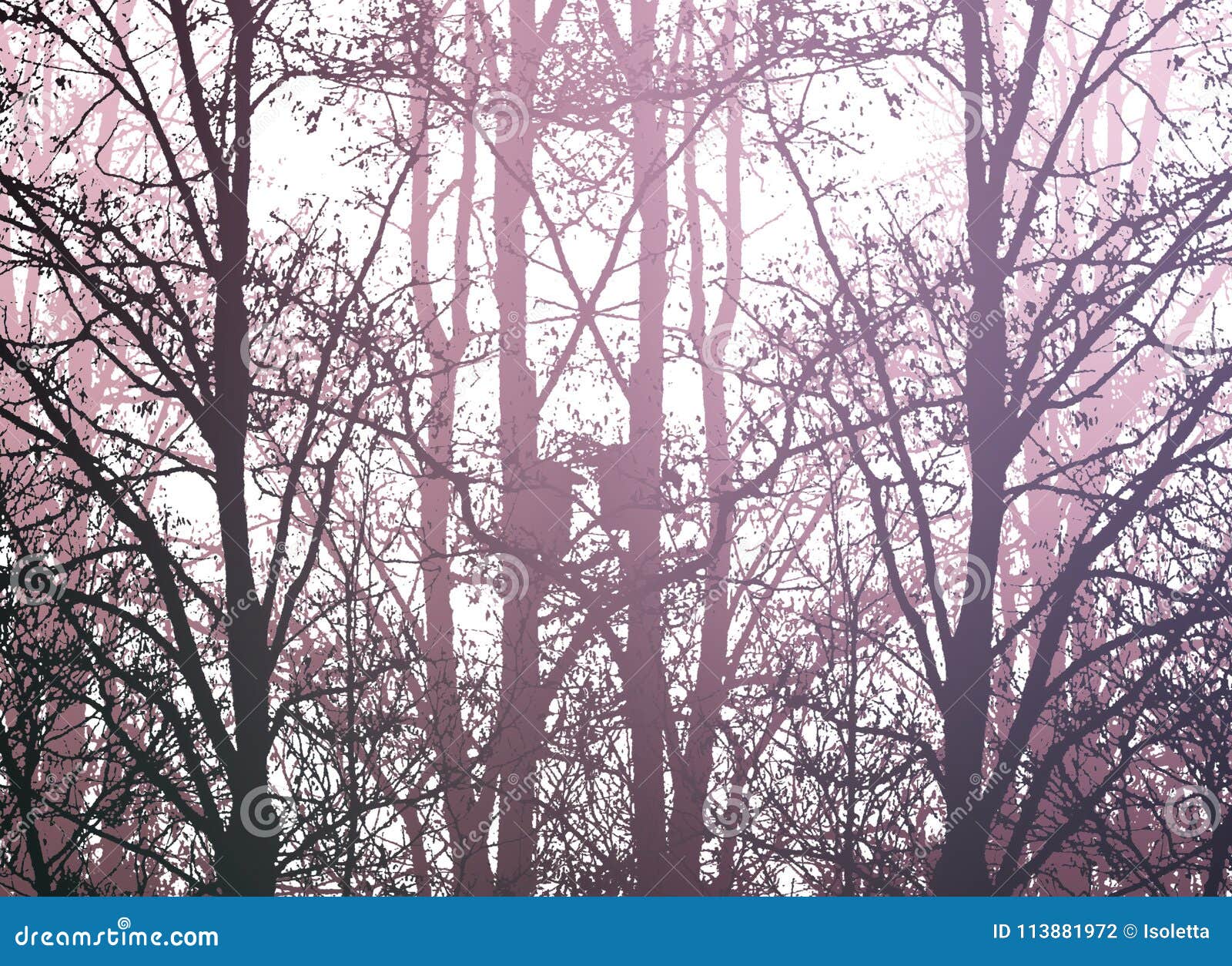 Silhouettes of bare trees stock photo. Image of spring - 113881972