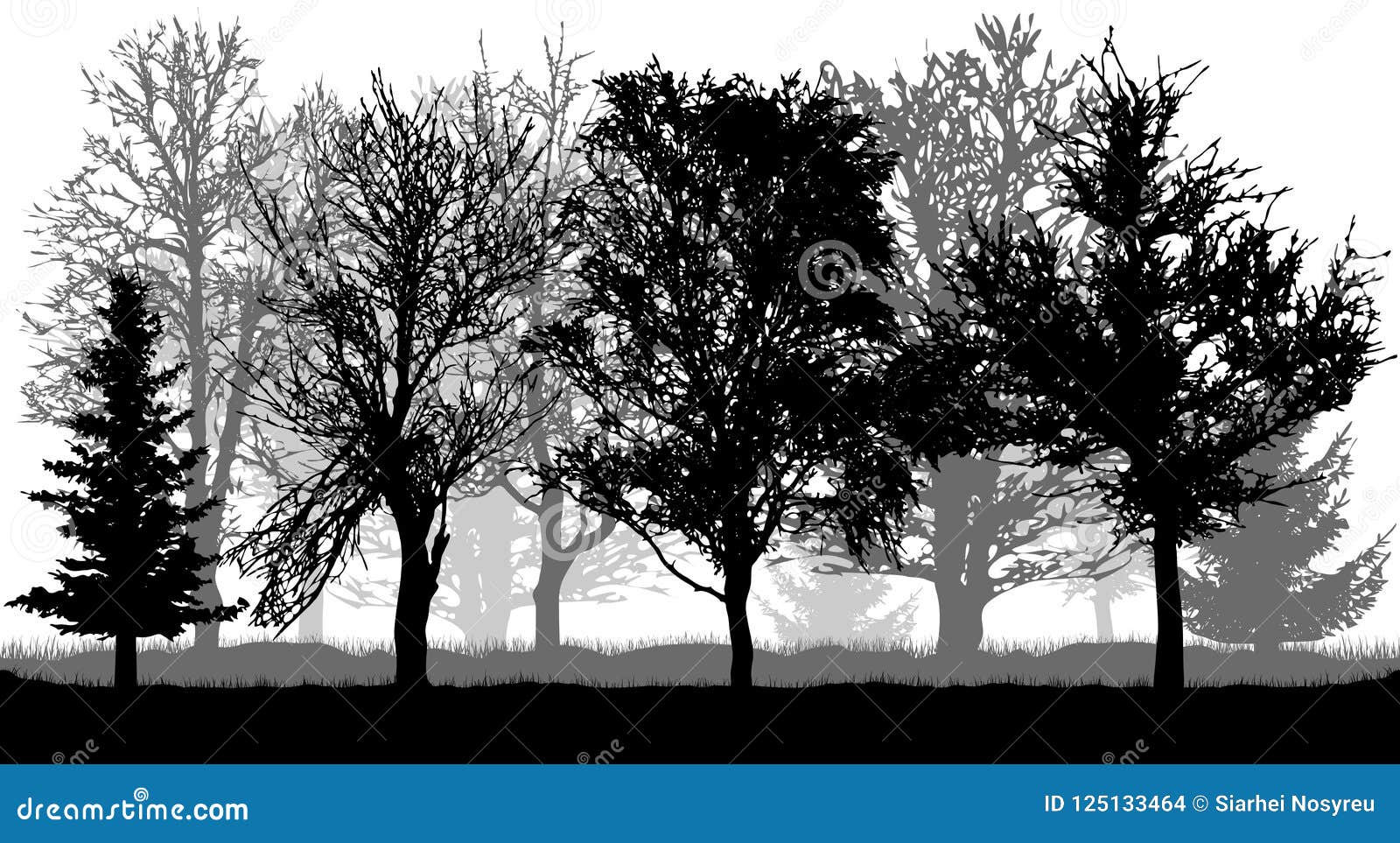 silhouettes of bare trees and firs . autumn park forest, vecto