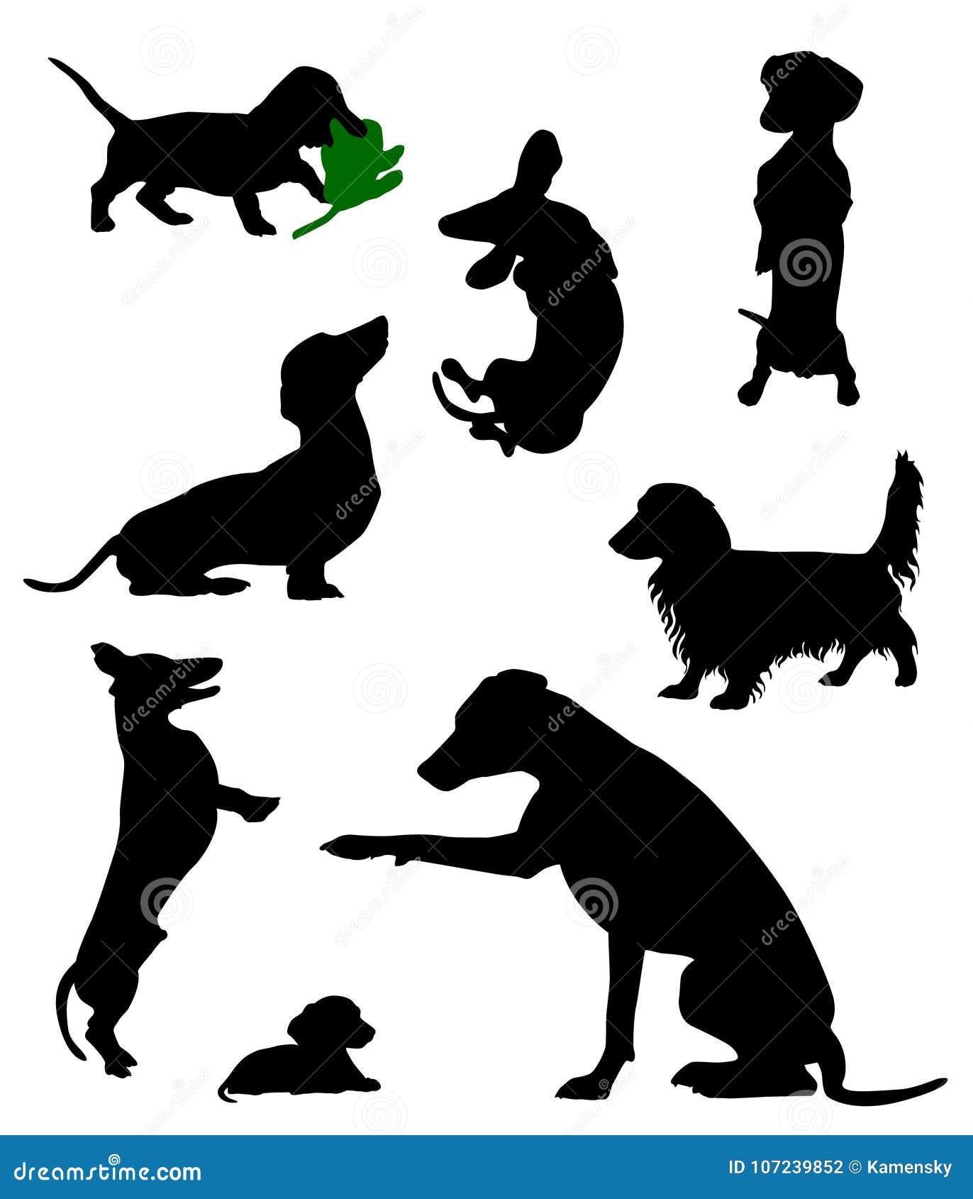 silhouettes of dachshunds vector