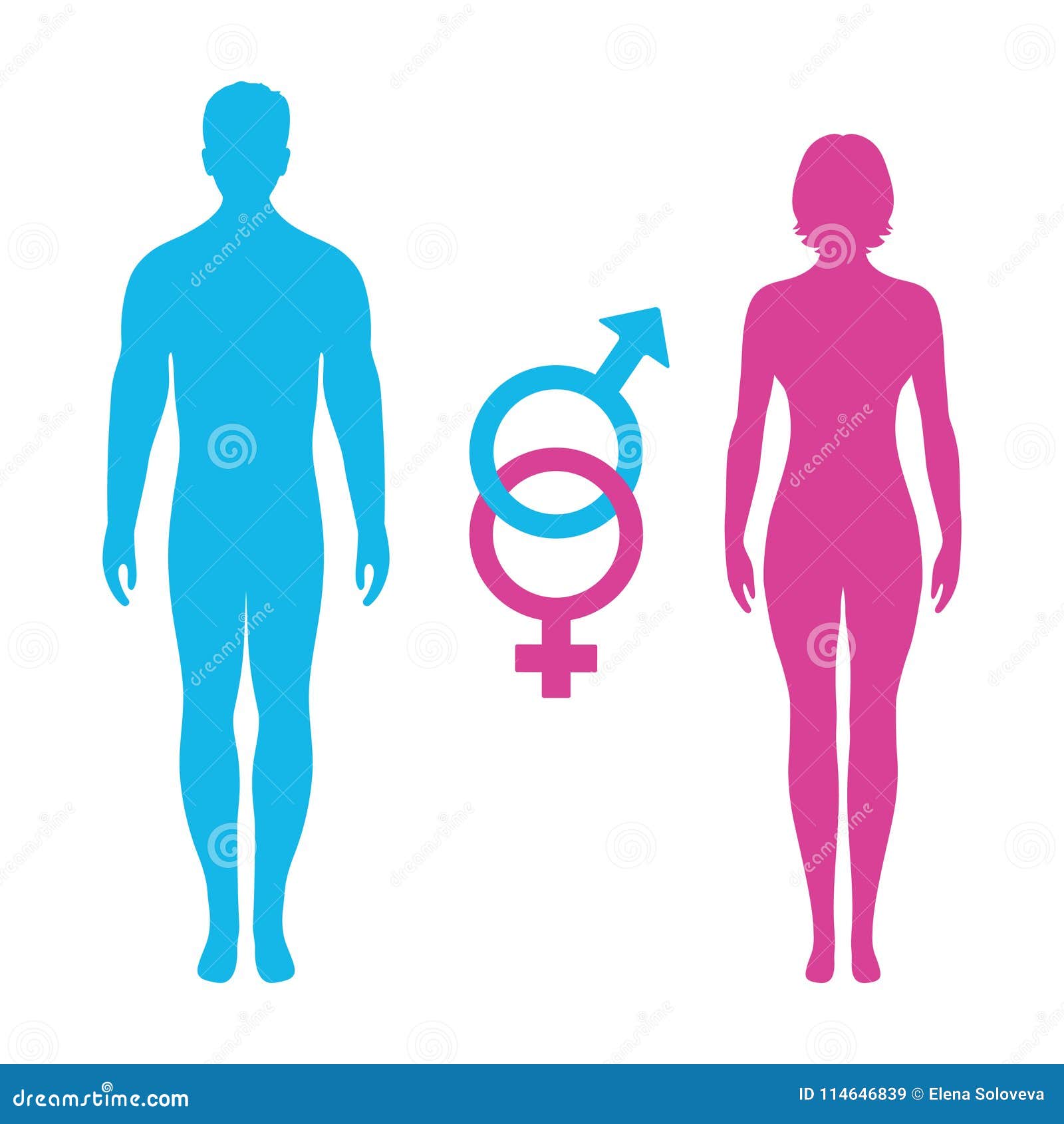 Пол человека пол цены. Символ мужчины и женщины. Пол мужской и женский. Значок мужчины и женщины. Символ девушки и мужчины.