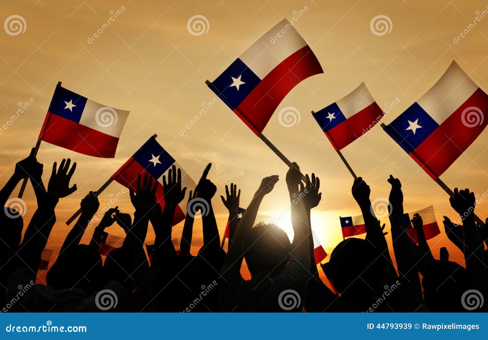 silhouettes of people holding flag of chile