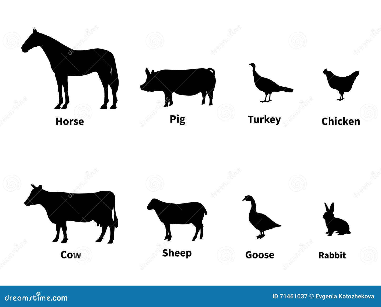 Silhouettes Set of Livestock Stock Vector - Illustration of poultry, chicken: 71461037 Silhouettes Set of Livestock Stock Vector - Illustration of poultry, chicken: 71461037