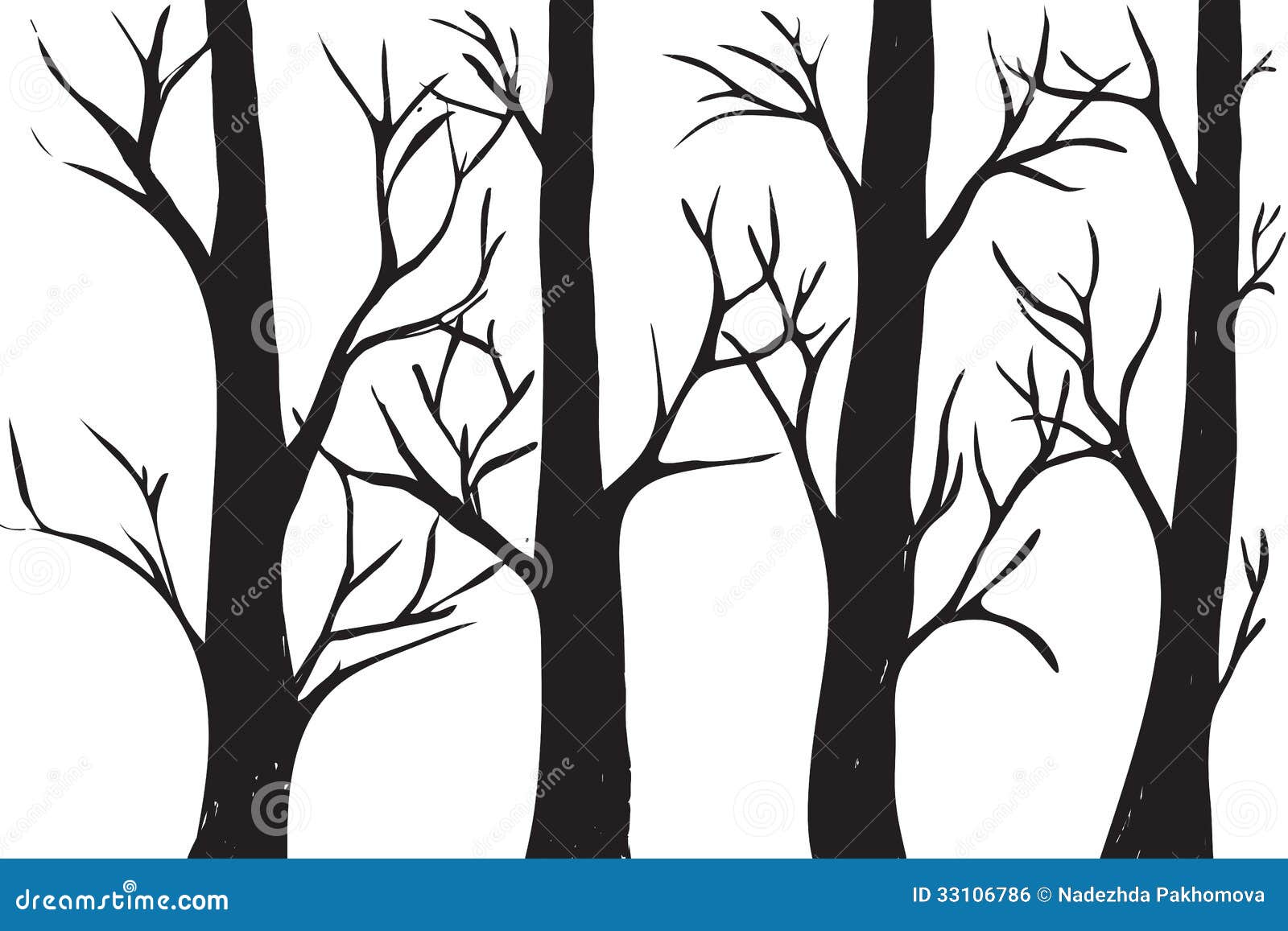 Silhouettes of trees without leaves. Black and white image. Vector 