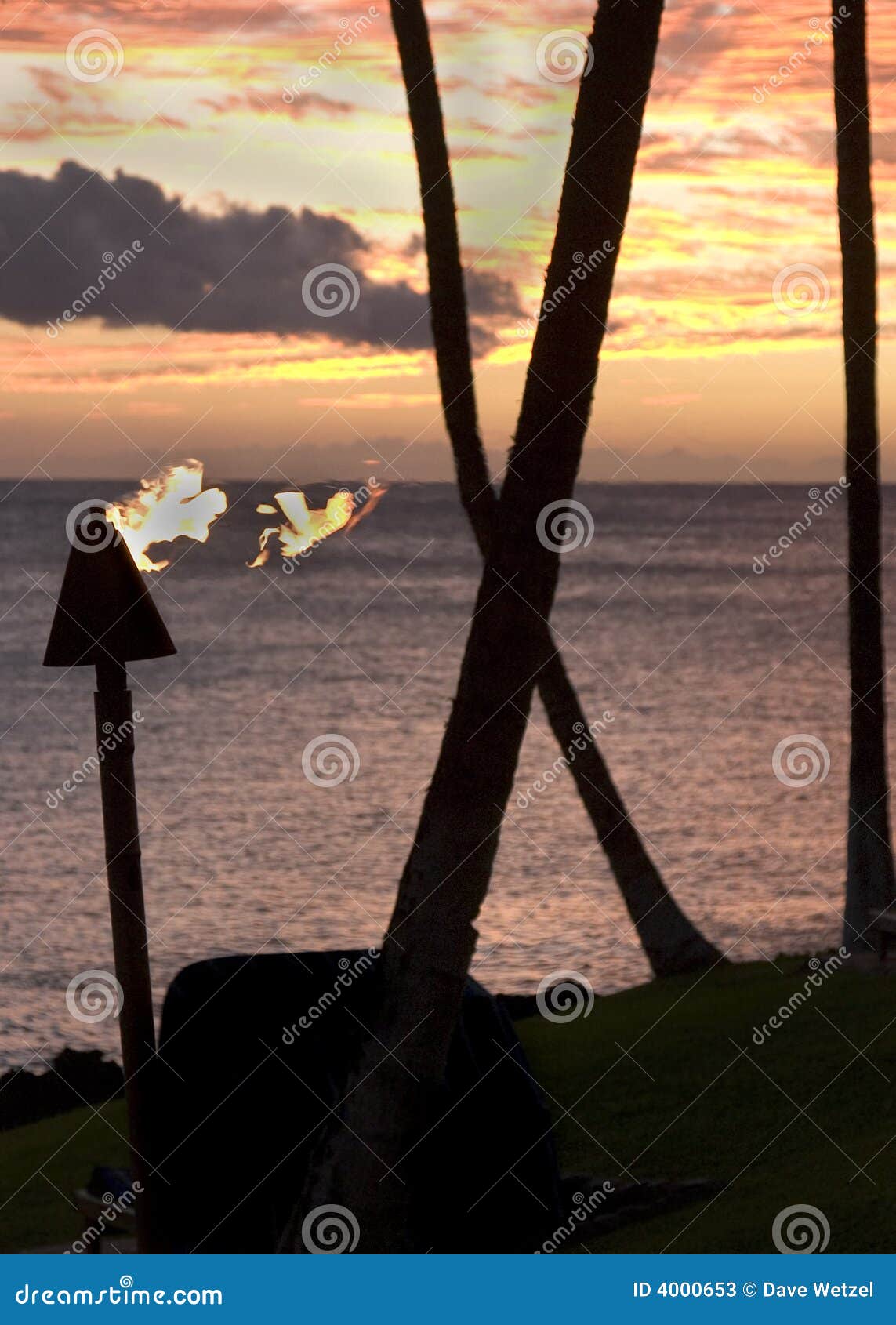silhoutte of torch in hawaii