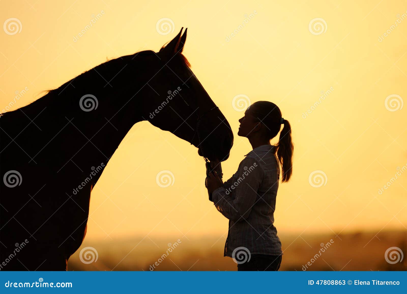 Mulher Bonita Sorrindo Em Frente Ao Cavalo No Pôr Do Sol Imagem de