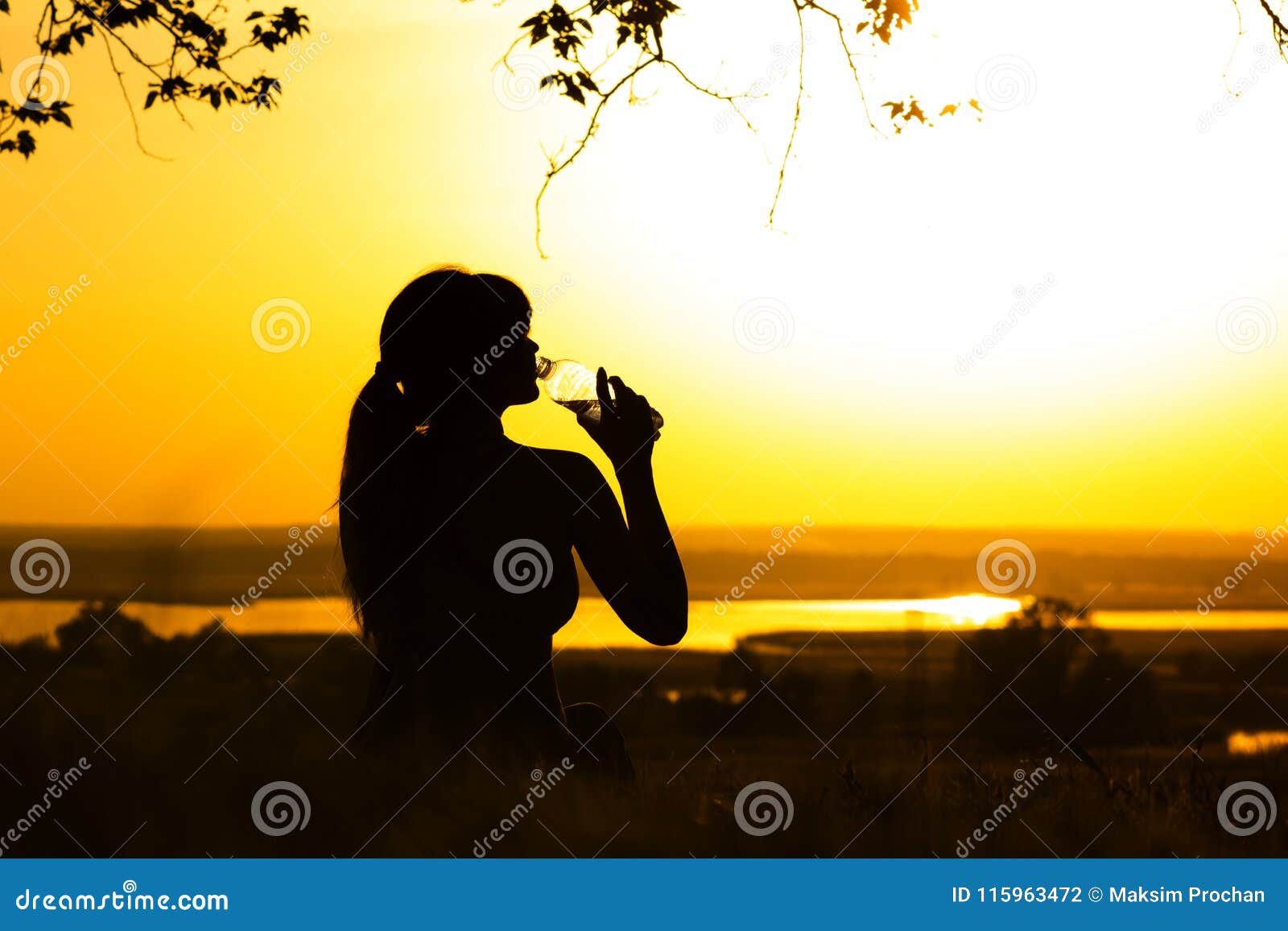 Featured image of post Foto De Natureza Para Perfil Fotos de stock incr veis que voc n o encontra em nenhum outro lugar