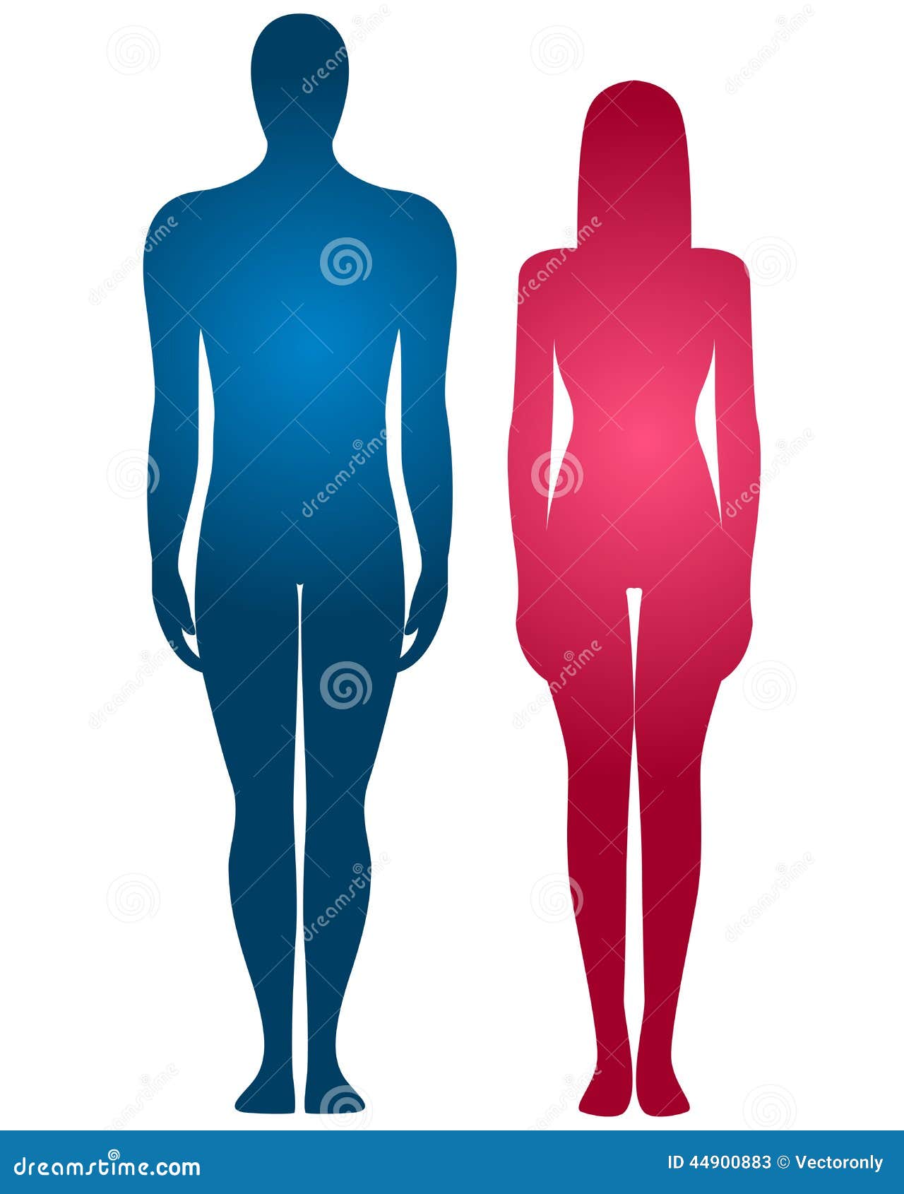 Silhueta do corpo humano ilustração do vetor. Ilustração de pés - 44900883, image size:1280x1690