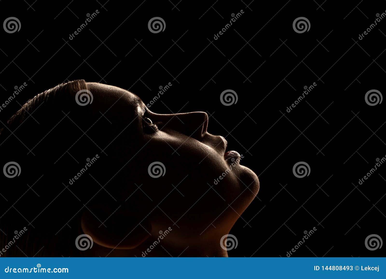 Perfil De Uma Triste Silhueta De Mulheres Reclamando Ao Ar Livre Foto de  Stock - Imagem de incompreendido, frustrado: 200055964