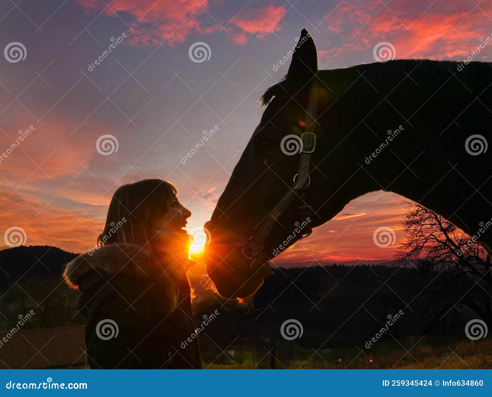 Mulher Bonita Sorrindo Em Frente Ao Cavalo No Pôr Do Sol Imagem de