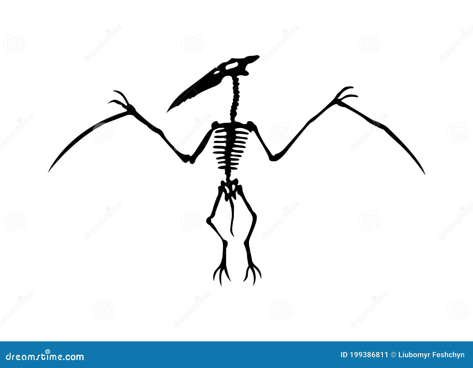 Baixar Vetor De Conjunto De Silhueta De Esqueleto De Dinossauro