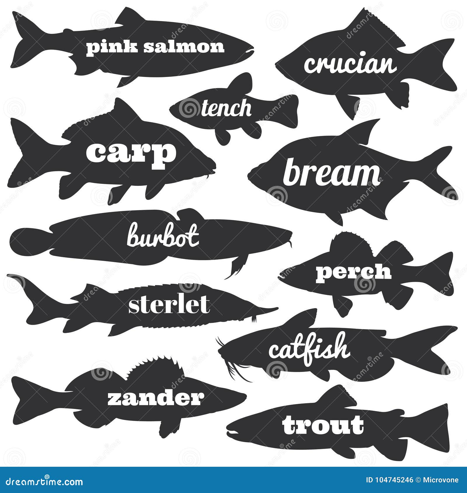 Silhuetas Comerciais Do Vetor Dos Peixes
