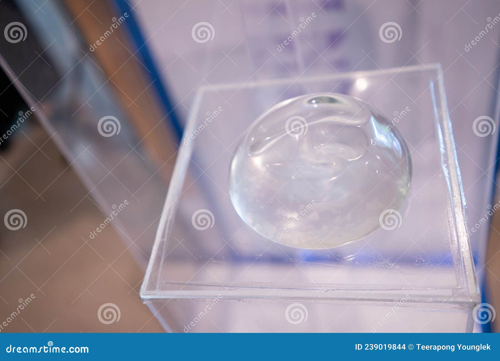 Silicone Breast Implants for Cosmetic Surgery Stock Photo Image of