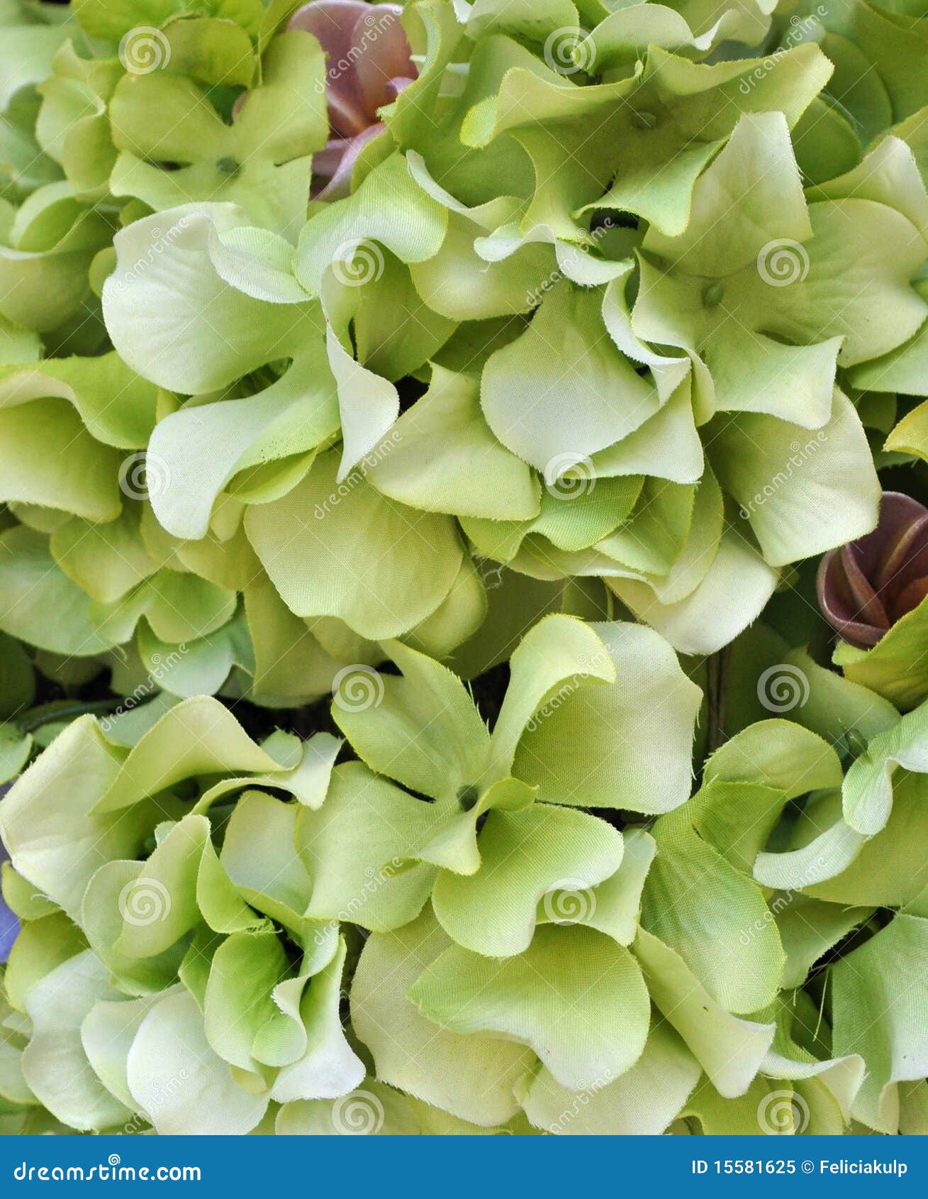 Pastel Green Silk Flowers stock image. Image of decoration 15581625