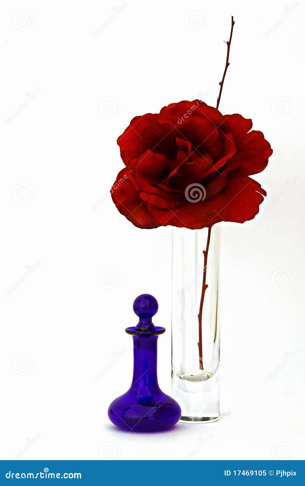 Silk Rose with Perfume Bottle Stock Image Image of rose, delicacy 17469105