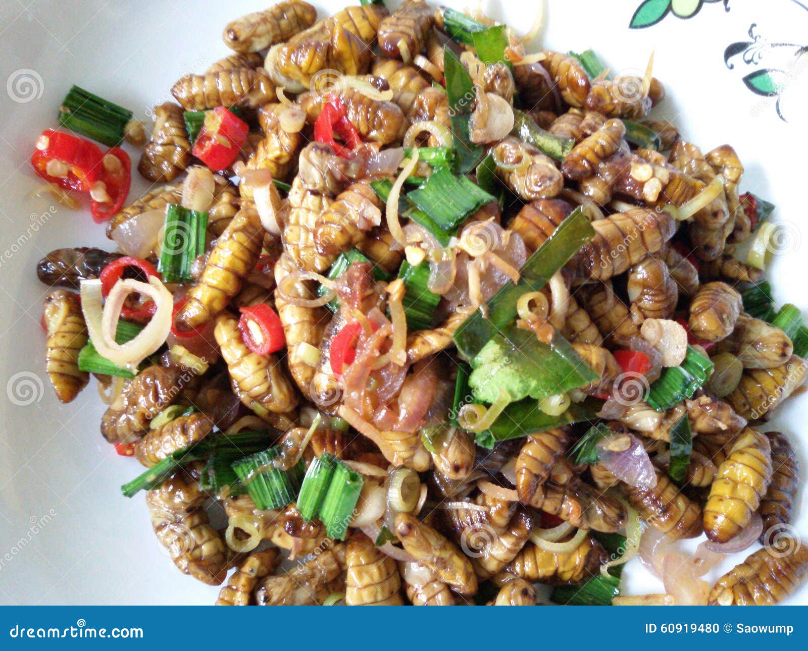 Silkworm food stock photo. Image of fried, food, herb 60919480