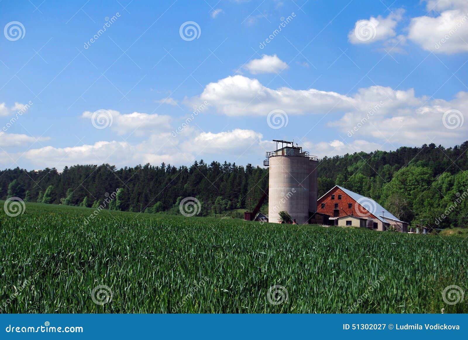 Silo au milieu d'un champ de wheet