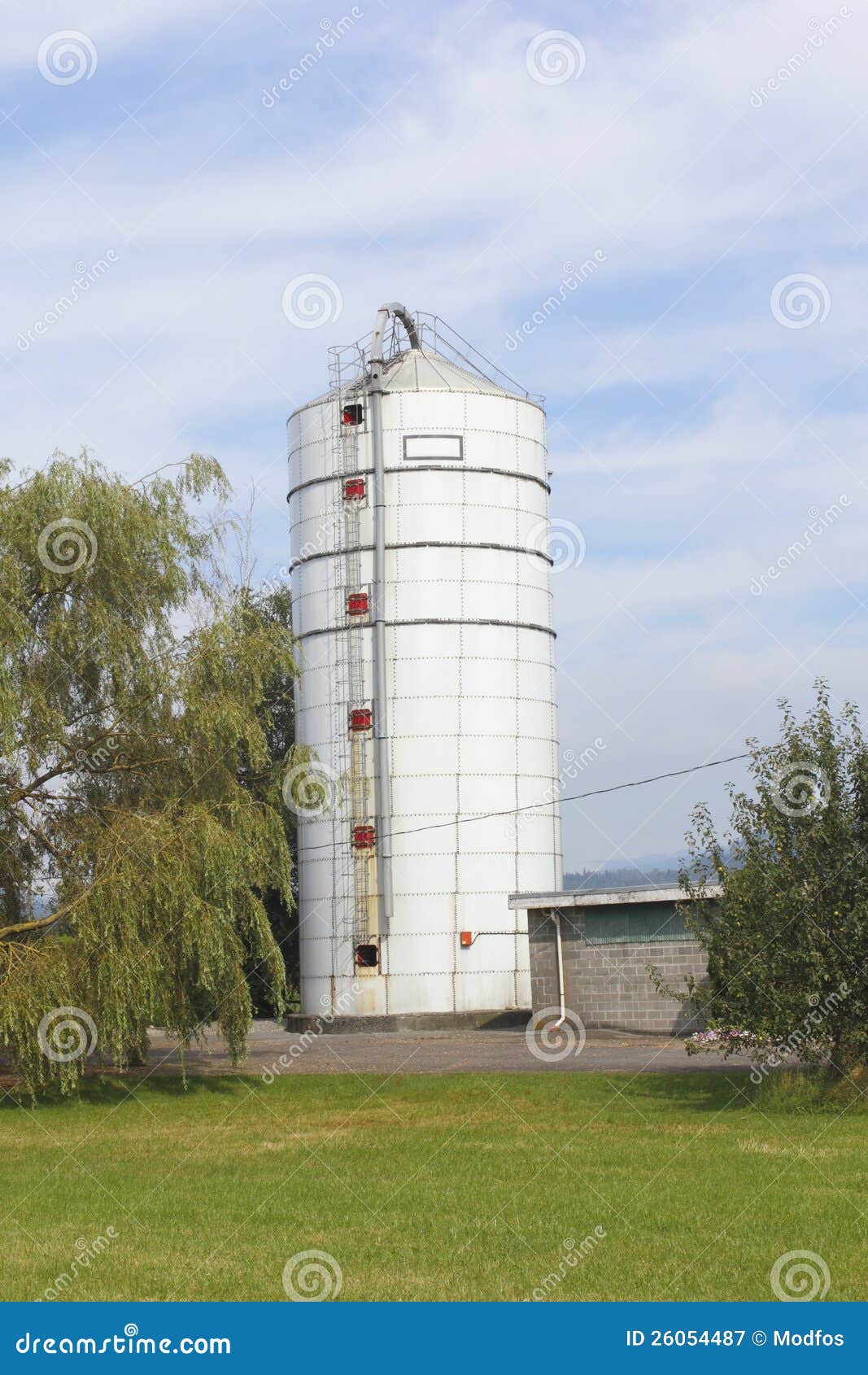 Silo dell'alimentazione sull'azienda agricola. Un silo su un'azienda agricola usata per la memorizzazione dell'alimentazione di inverno.