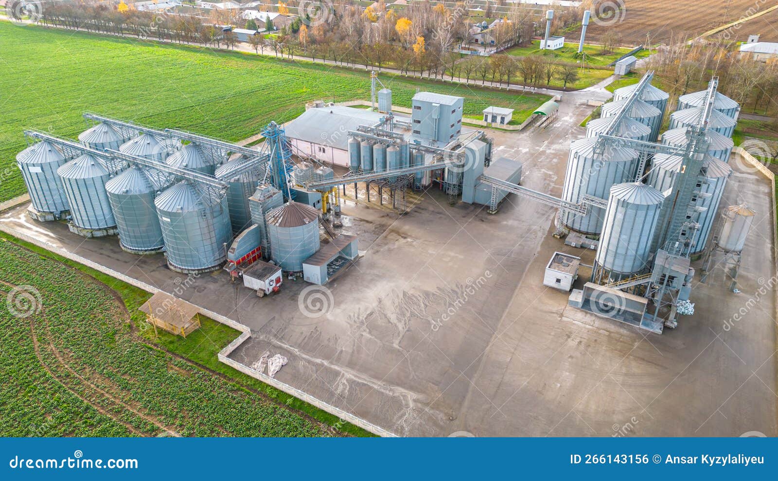 Silos Argentés Sur L'usine Agro-manufacturière Pour La