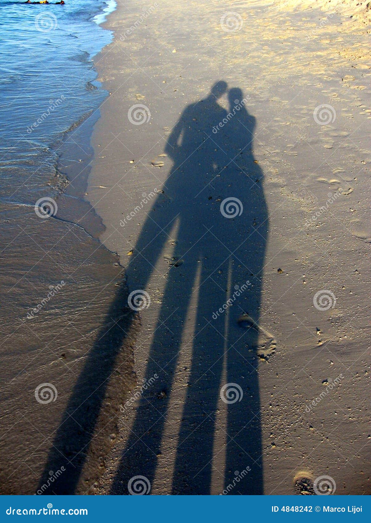 silouette shadows in the sand