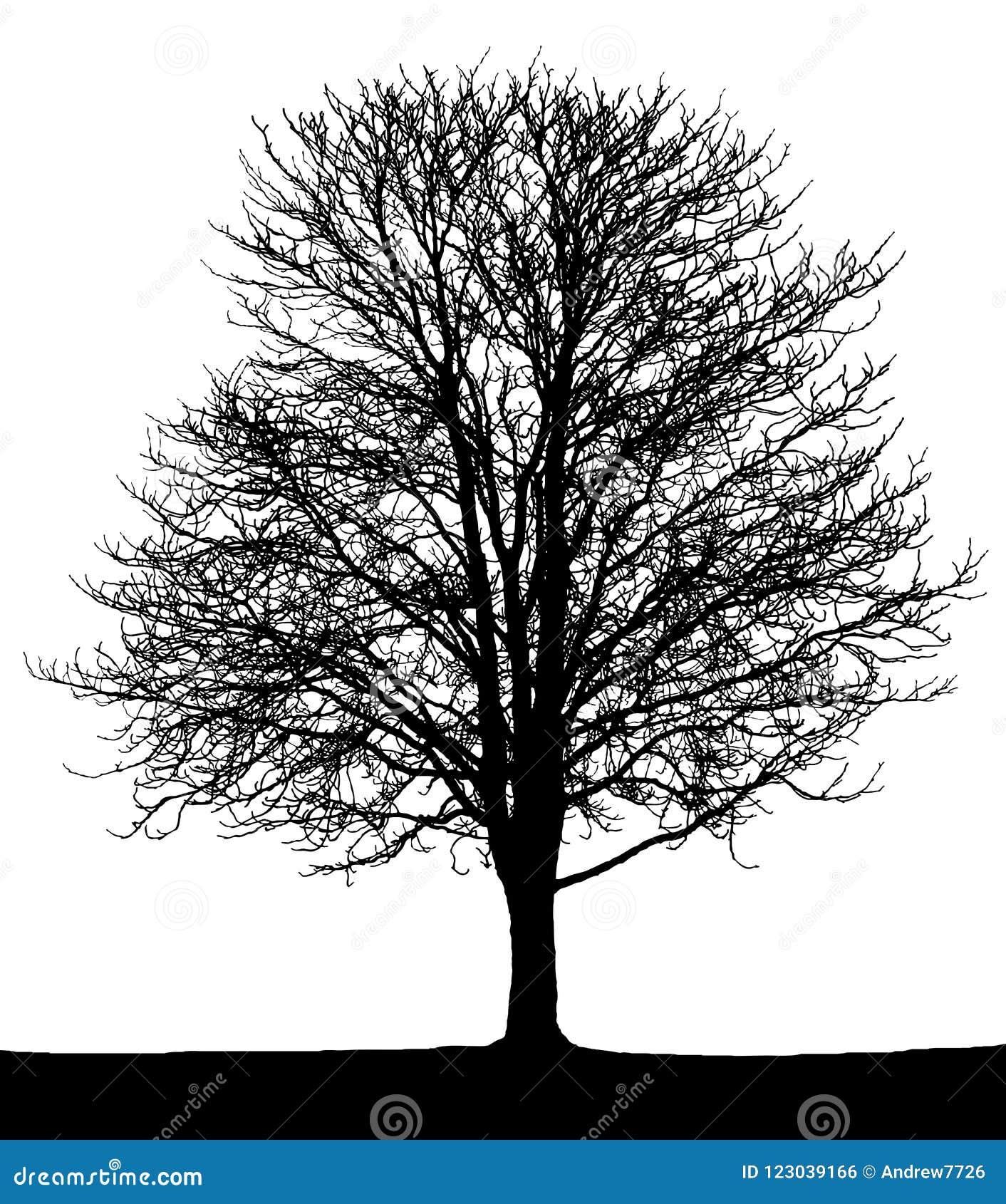 Silueta Blanco Y Negro De Un árbol Del Otoño Stock de ilustración -  Ilustración de detallado, contorno: 123039166