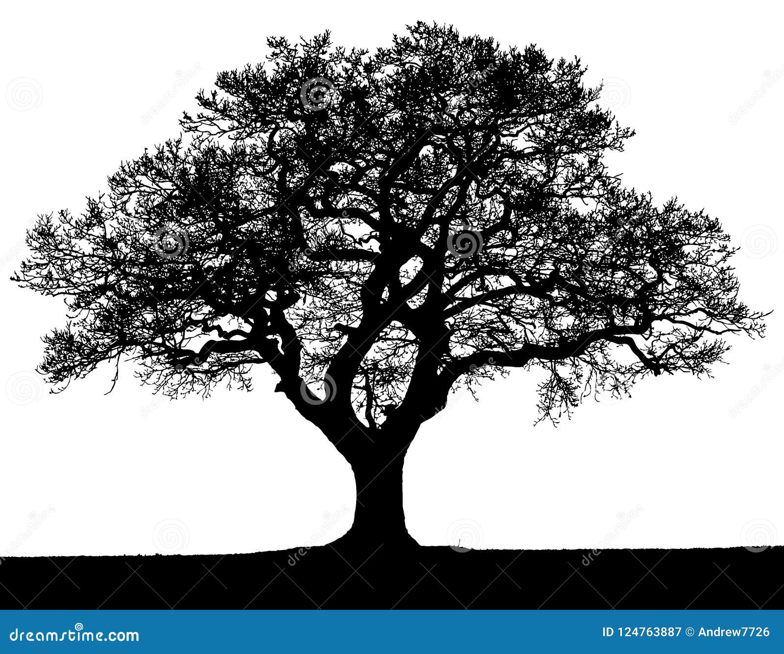 Silueta Blanco Y Negro Del árbol Del Otoño Del Vector Stock de ilustración  - Ilustración de intrincado, delicado: 124763887