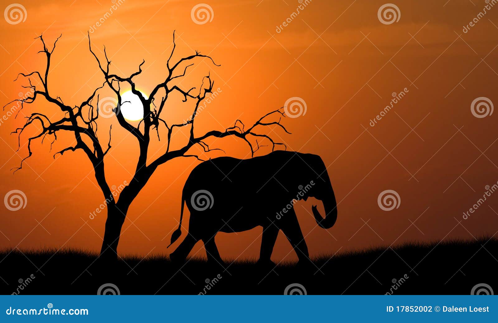 Elefante asiático ilustración del vector. Ilustración de colmillo - 30648041, image size:1600x1040