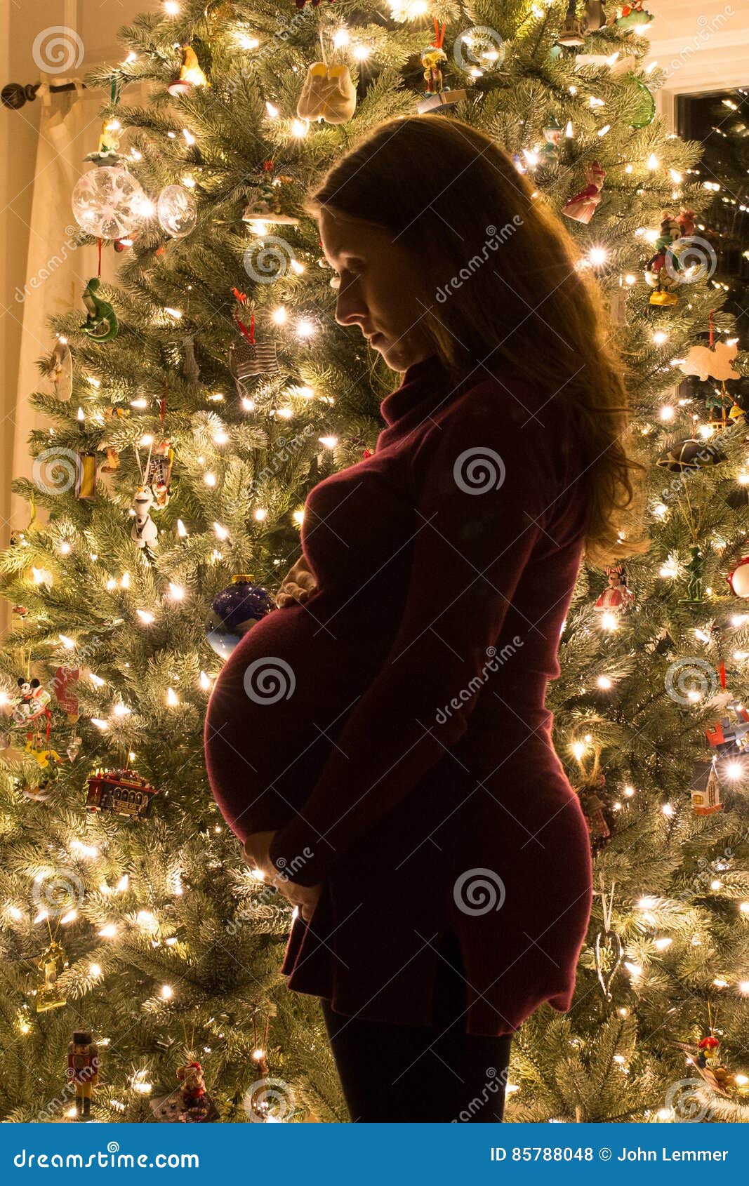 Silueta Del Mujeres Embarazadas En La Navidad Foto de archivo - Imagen de  felicidad, padre: 85788048