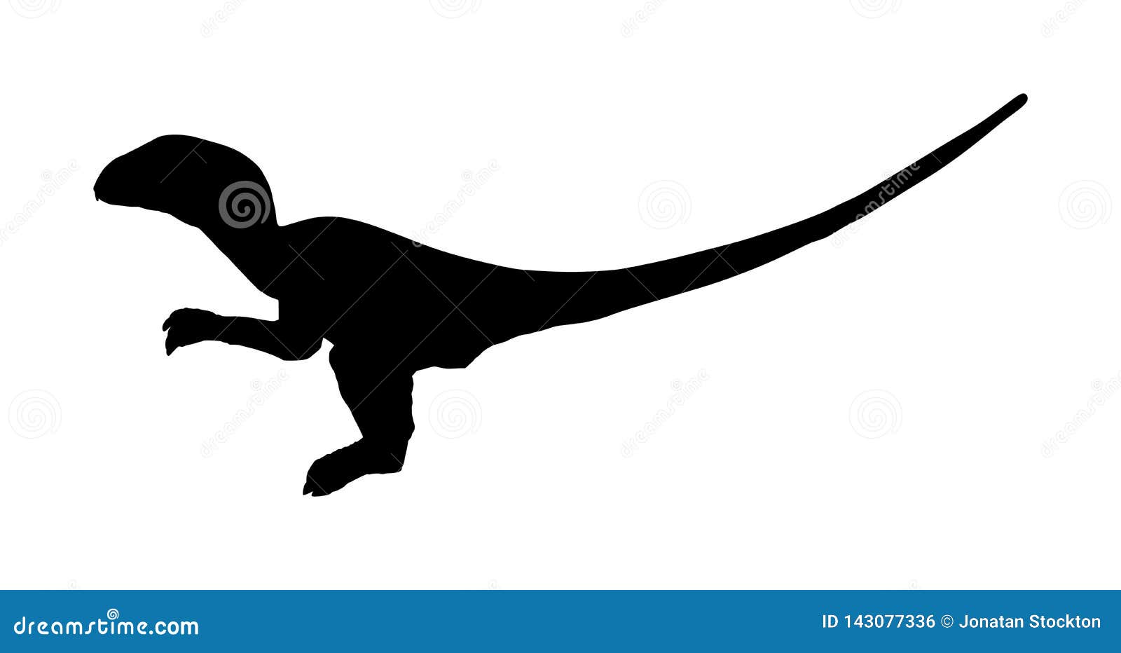 Silueta Del Vector Del Velociraptor Aislada En El Fondo Blanco Símbolo De  Los Dinosaurios Era Jurásica Muestra De Dino Dragón Del Stock de  ilustración - Ilustración de imagen, dinosaurios: 143077336