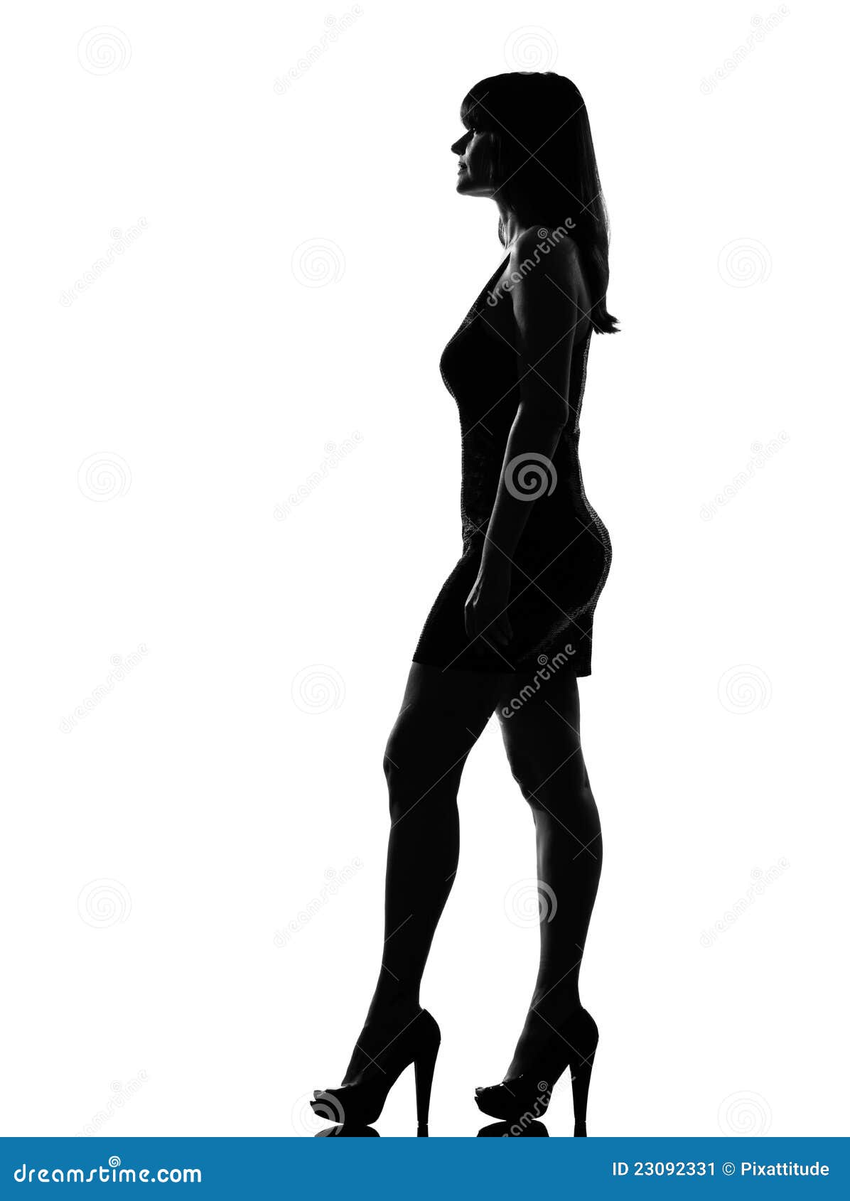 Silueta De Mujer De Pie De Perfil, Cuerpo Entero Imagen de archivo - Imagen  de encantador, elegancia: 23092331, image size:1196x1690
