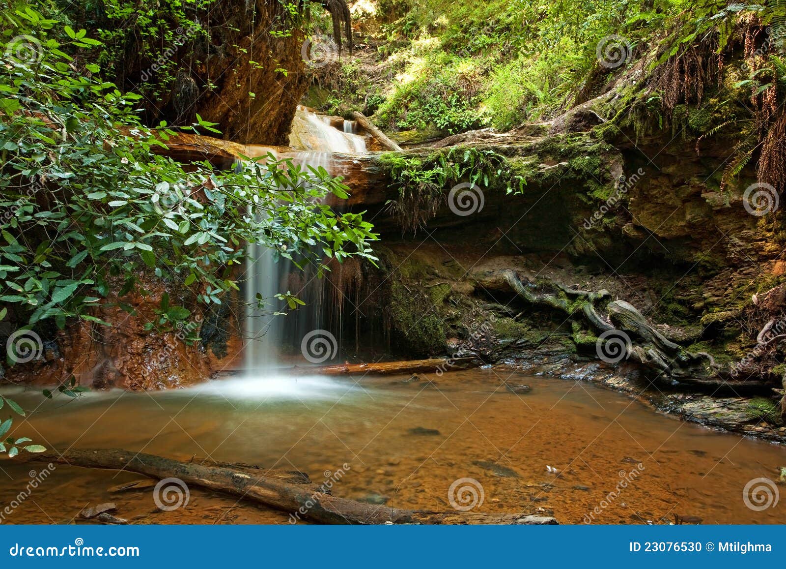 Silver Falls on Berry Creek Trail, Big Basin, CA Stock Photo Image of