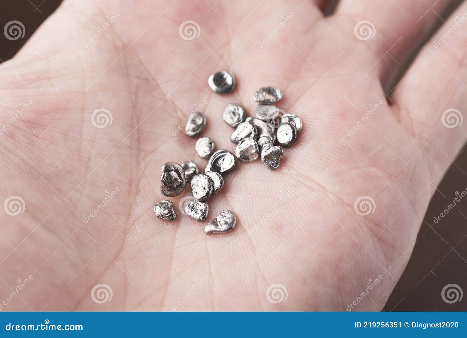 Silver Granular Zinc on Hand. Rose Alloy for Soldering Stock Image
