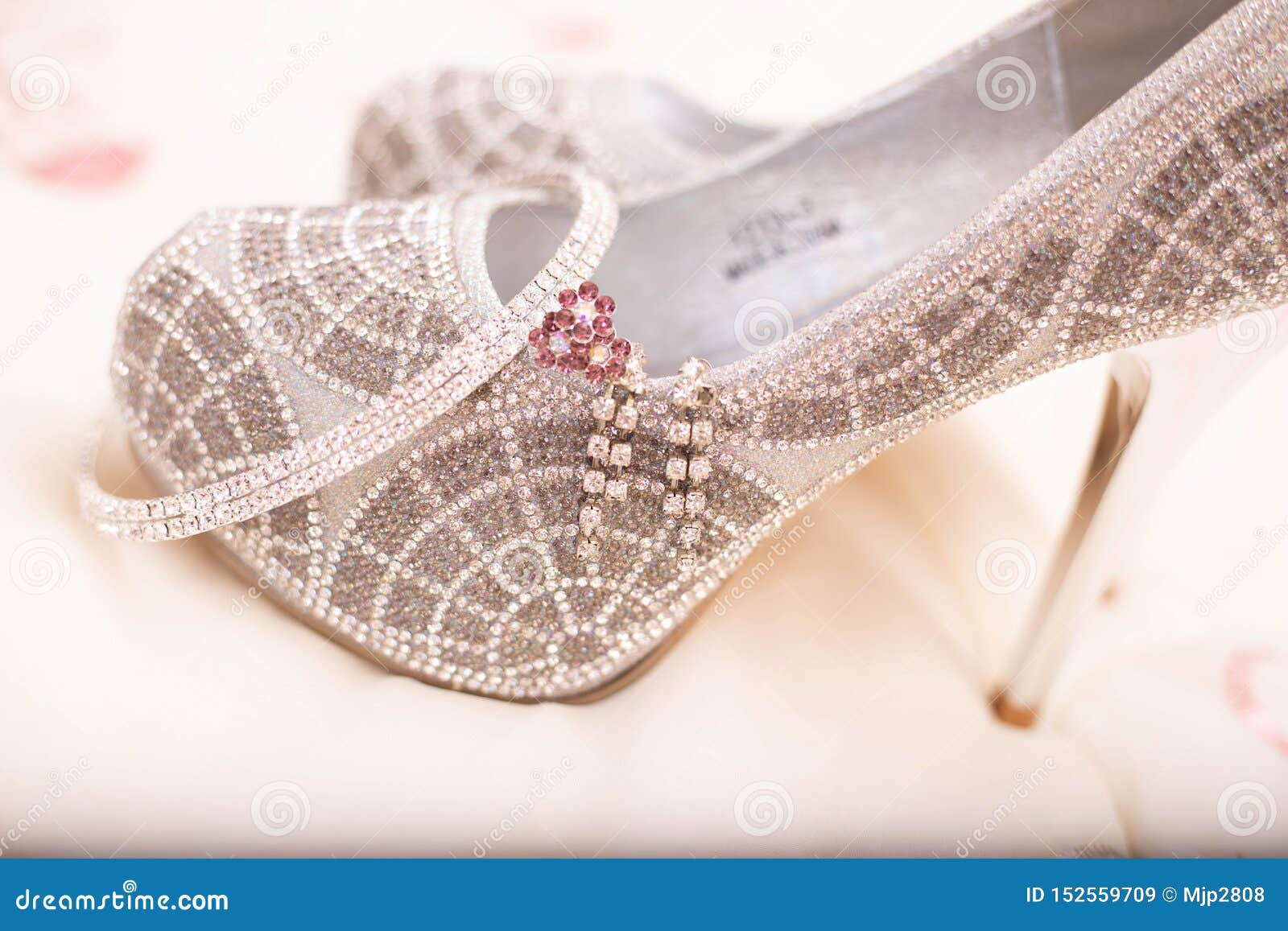 Silver Bling Shoes Bangles , Earrings And Hair Pin Stock Image - Image ...