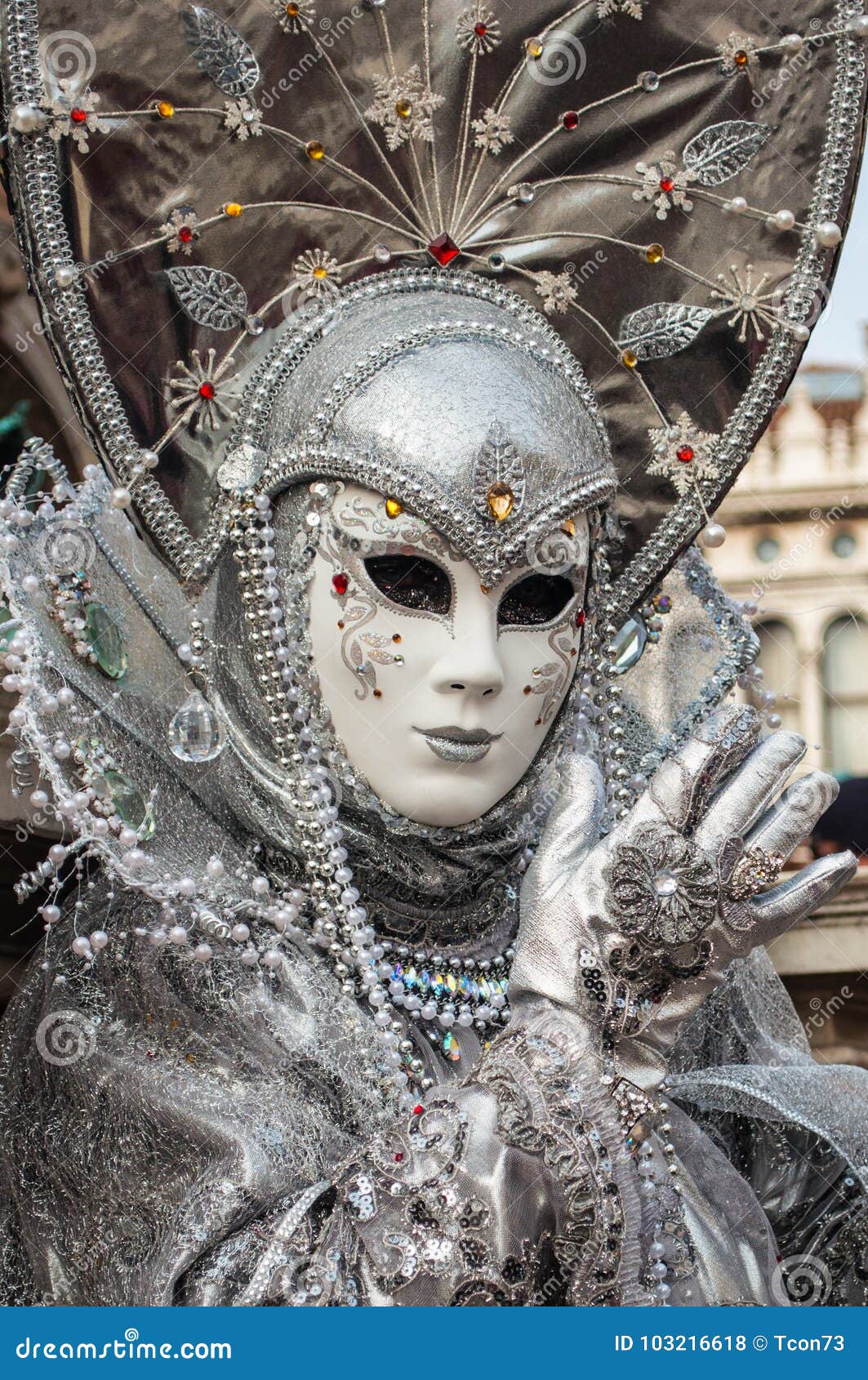 Silver grey Venice Mask stock photo. Image of face, carneval - 103216618