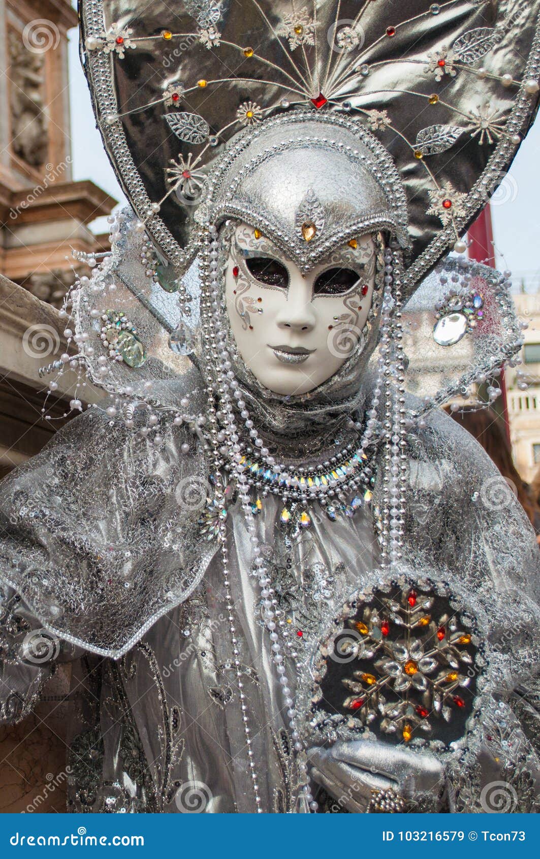 Silver grey Venice Mask stock image. Image of attraction - 103216579