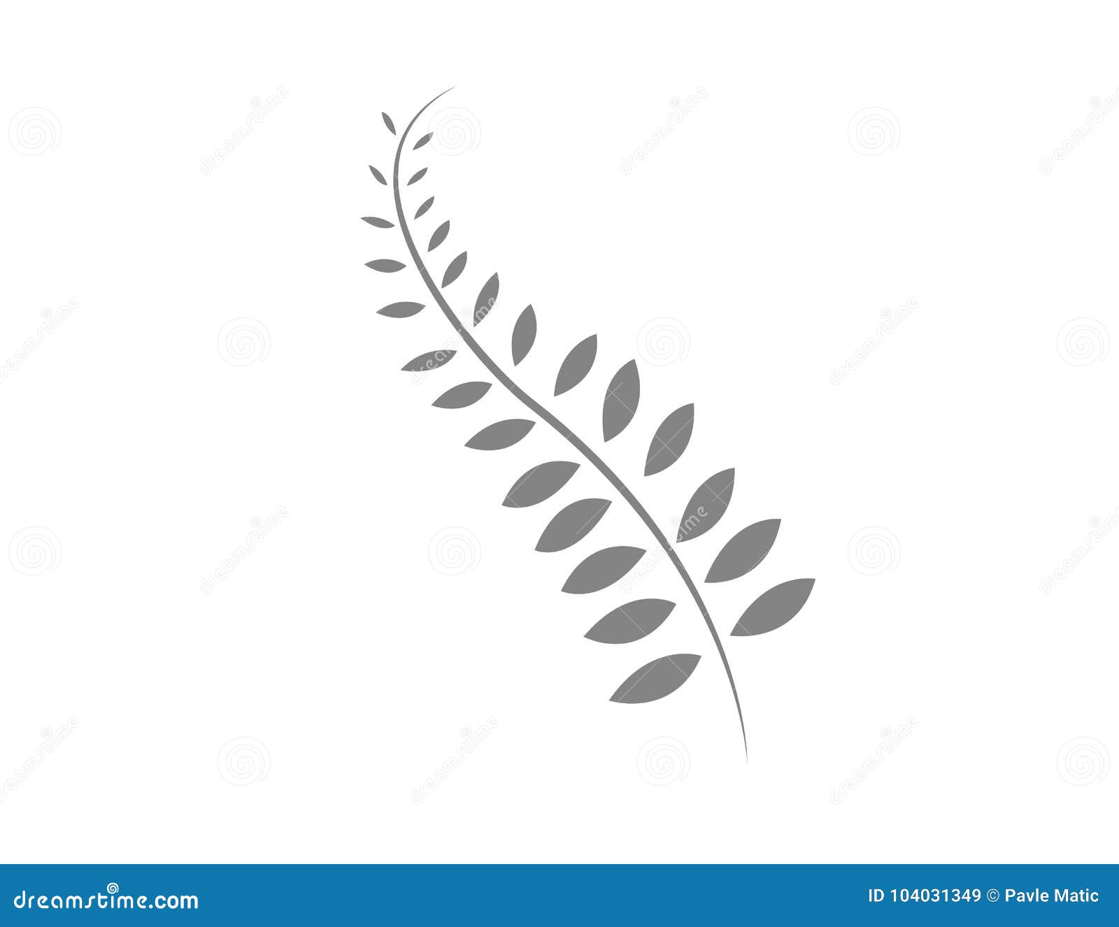 nz fern logo