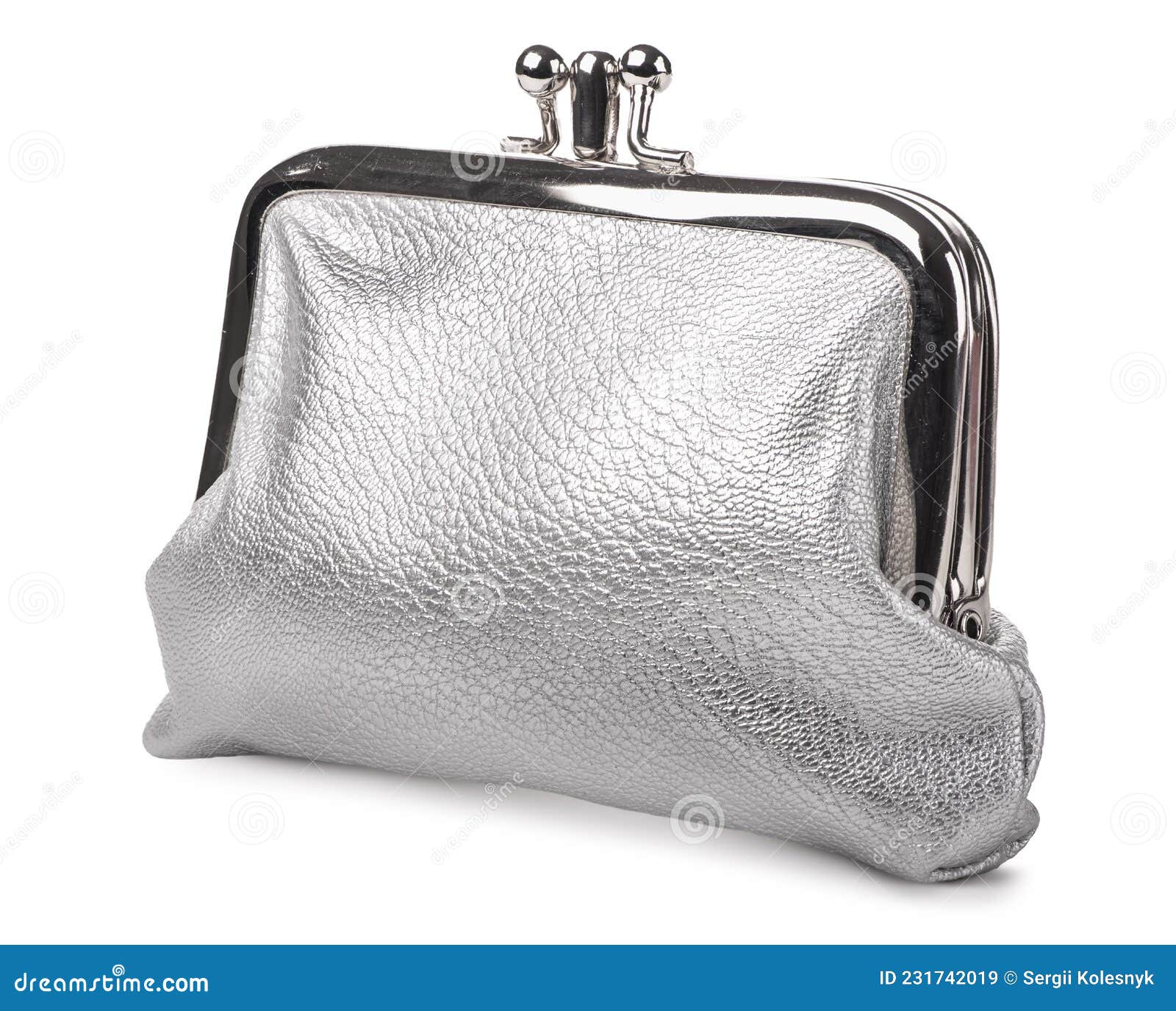 Silver Leather Purse Isolated Stock Image Image of leather, cashbox