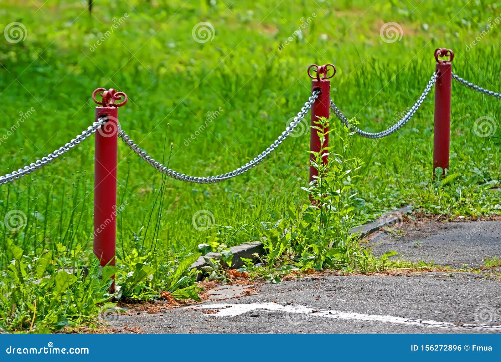 Silver Metal Chain Barrier, Green Environment Diversity, Stock Photo