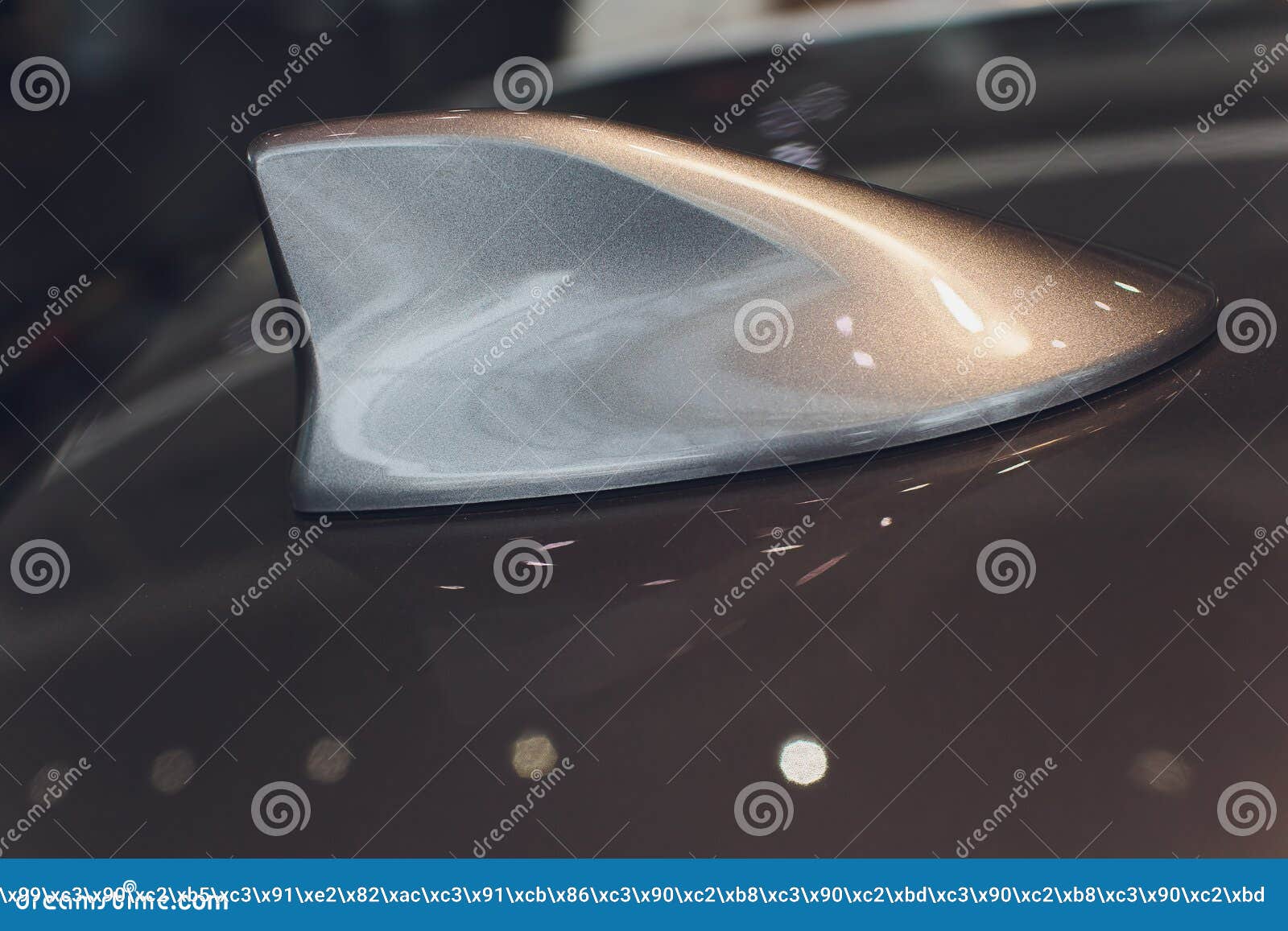 Silver Metallic Race Car from Behind Roof. Stock Image - Image of race ...